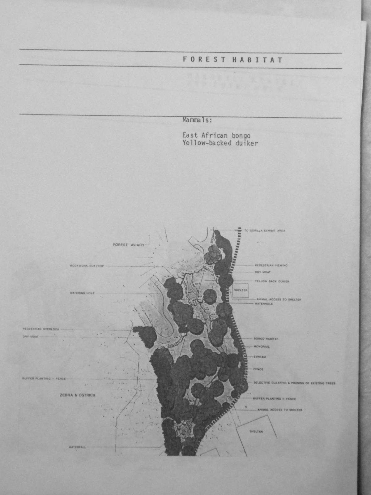 A Guidebook to the Habitats of the Wilds of Africa - 1988 - Forest Habitat