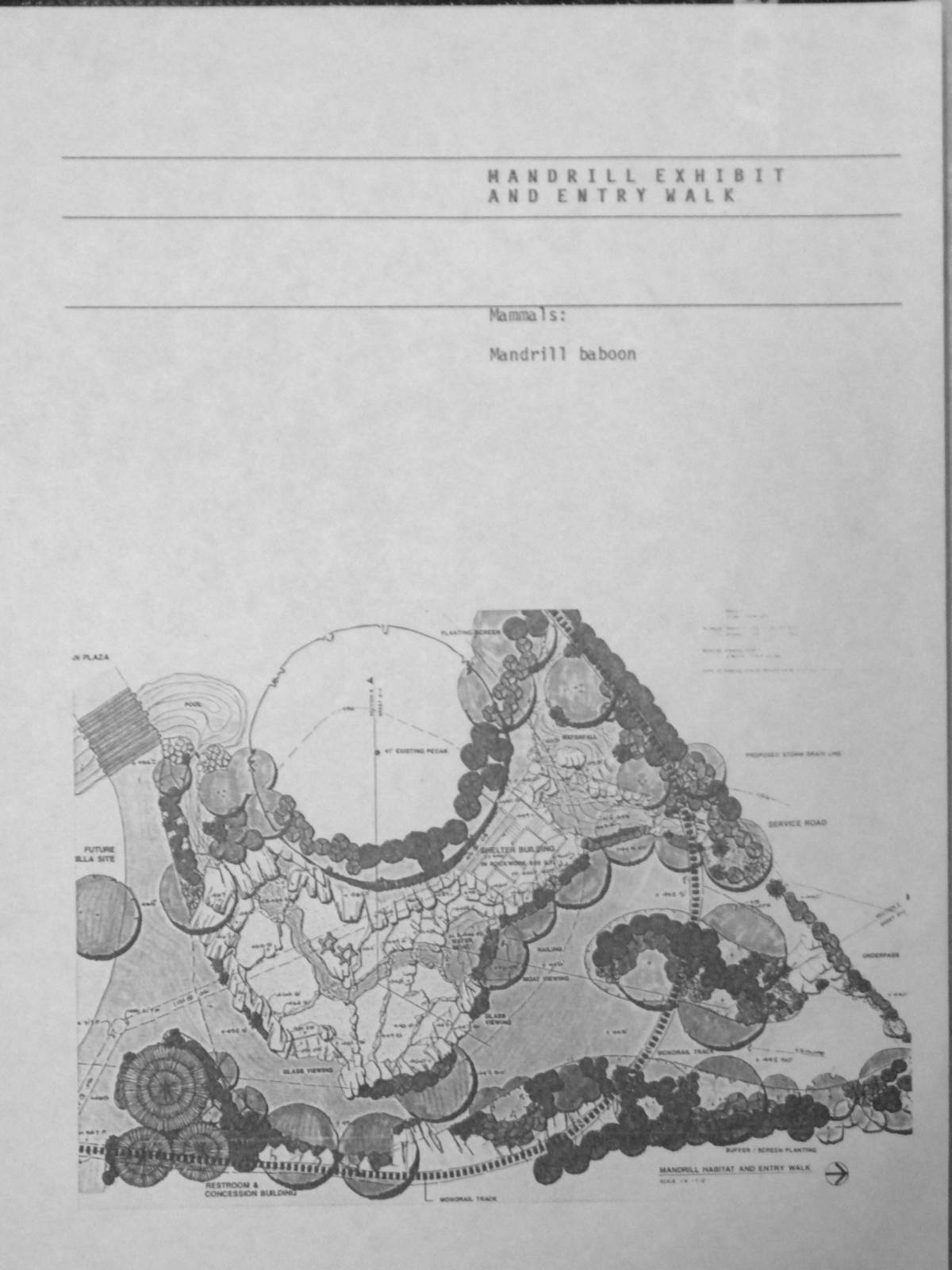 A Guidebook to the Habitats of the Wilds of Africa - 1988 - Mandrill Habita