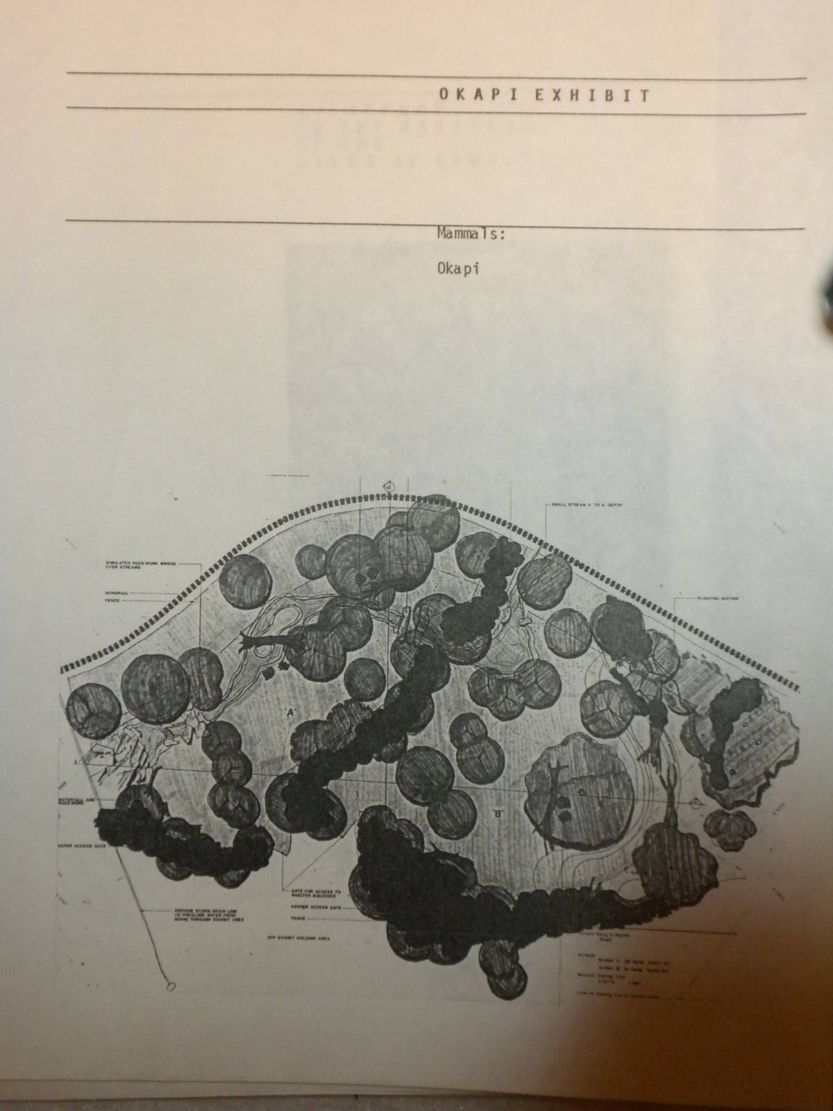 A Guidebook to the Habitats of the Wilds of Africa - 1988 - Okapi Habitat