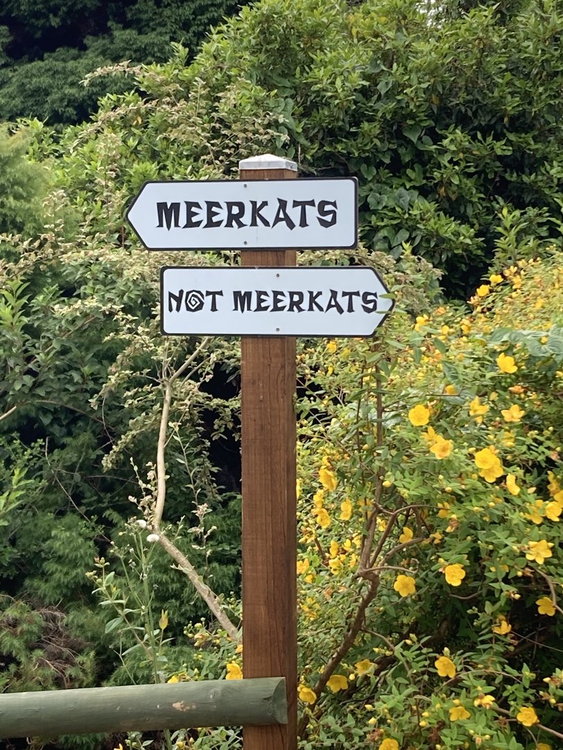 A handy sign for Zoochatters re Meerkats