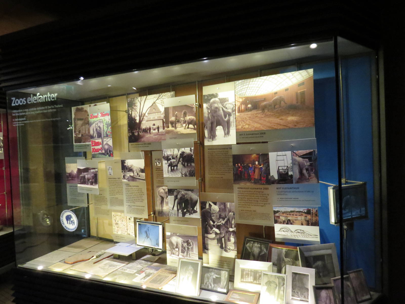 A history of elephants at the zoo, June 2015.