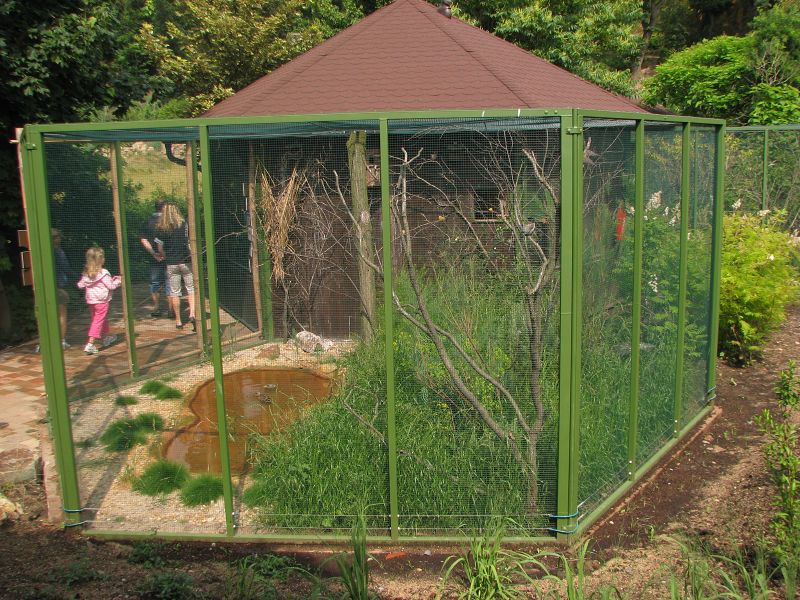 A house and an aviary for Asiatic birds