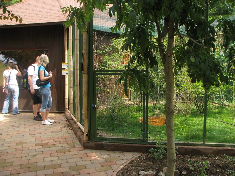 A house and an aviary for Asiatic birds