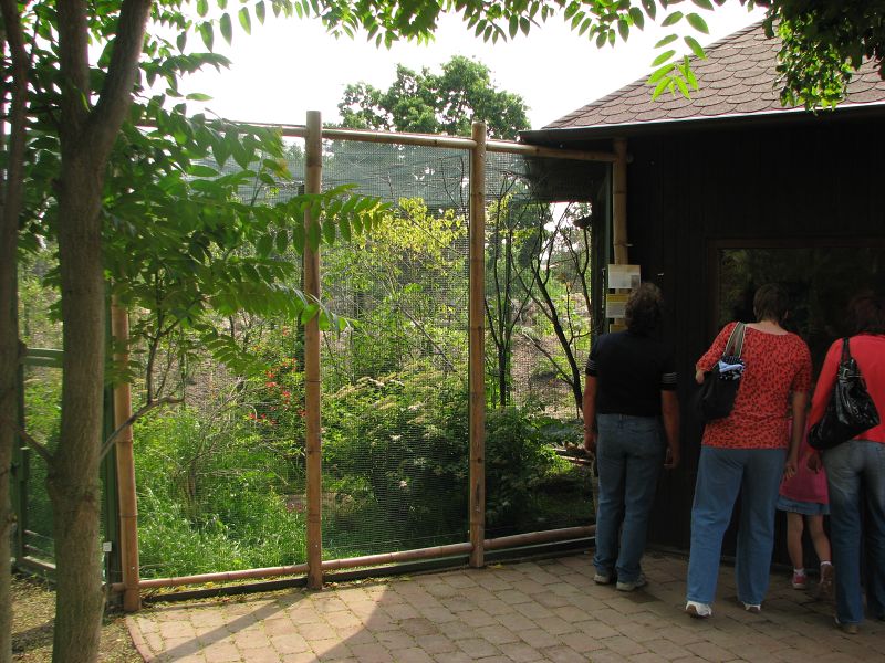 A house and an aviary for Asiatic birds