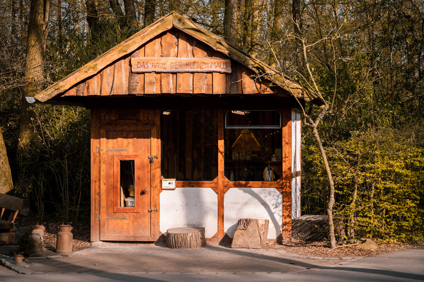 A house for domestic mice