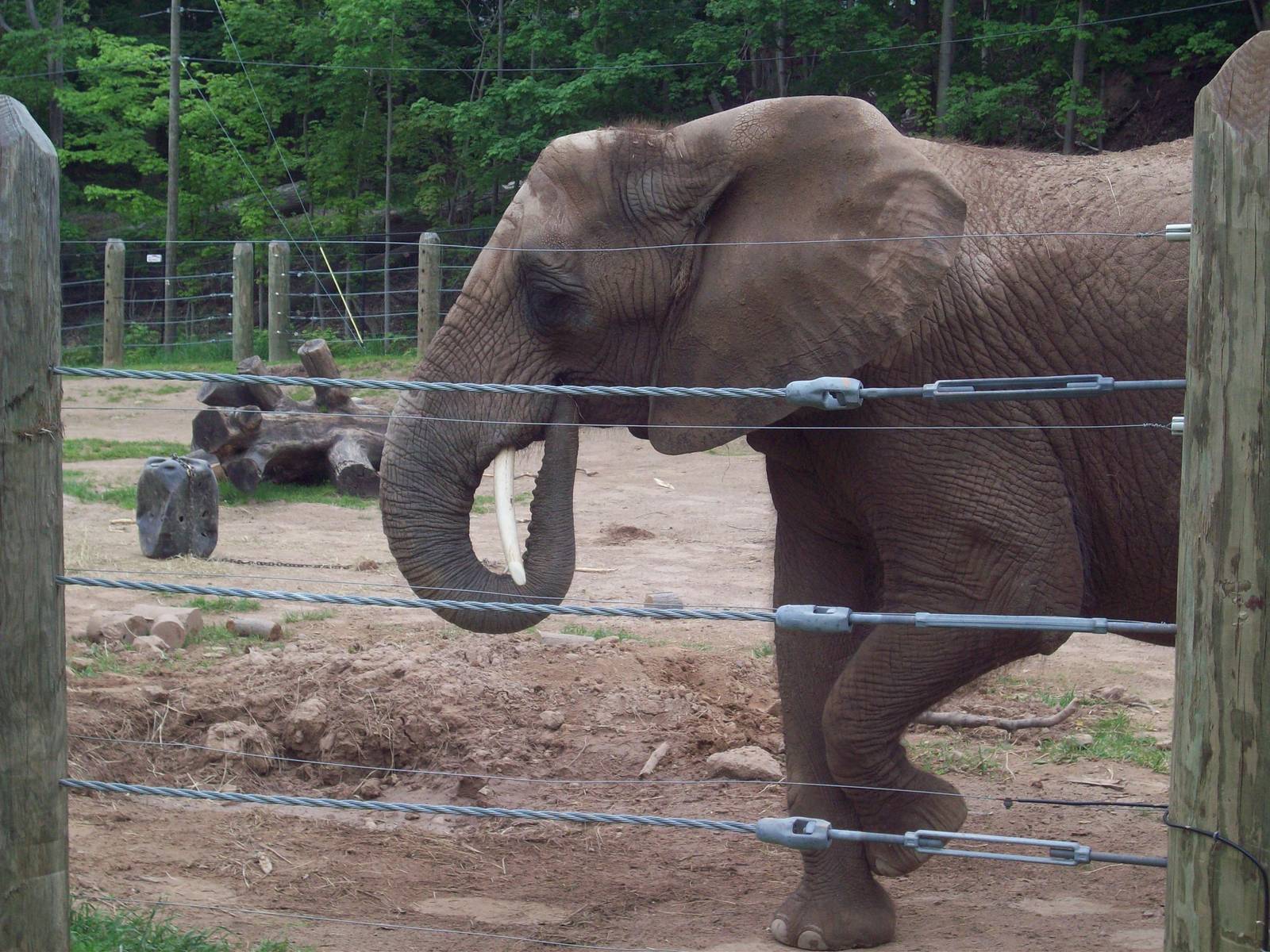 A little candid pose