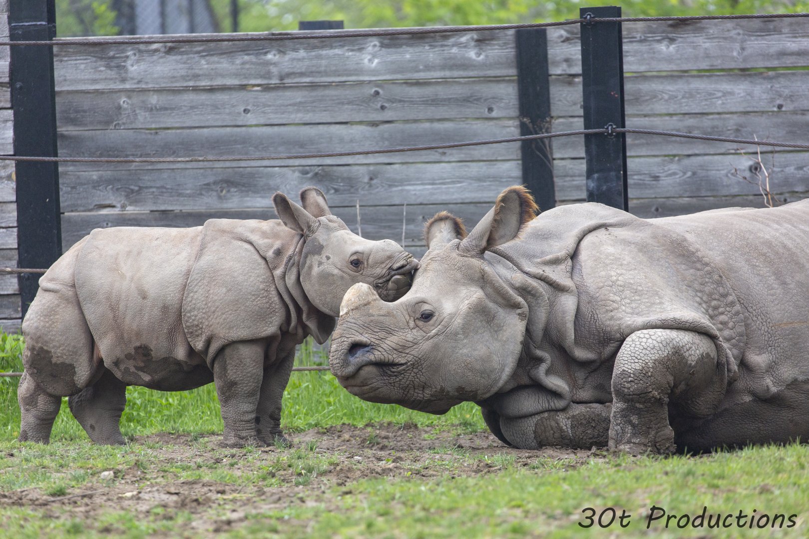 A little late for mother's day