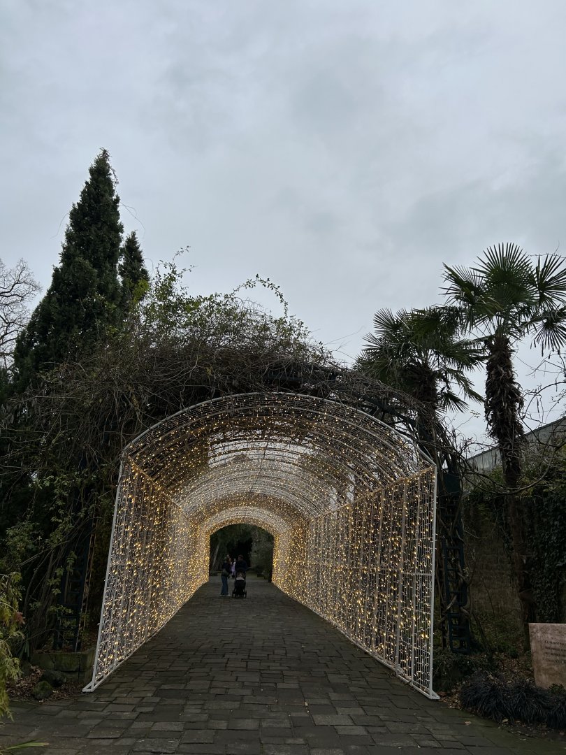 A lot of Christmas lights at the Andalusian garden