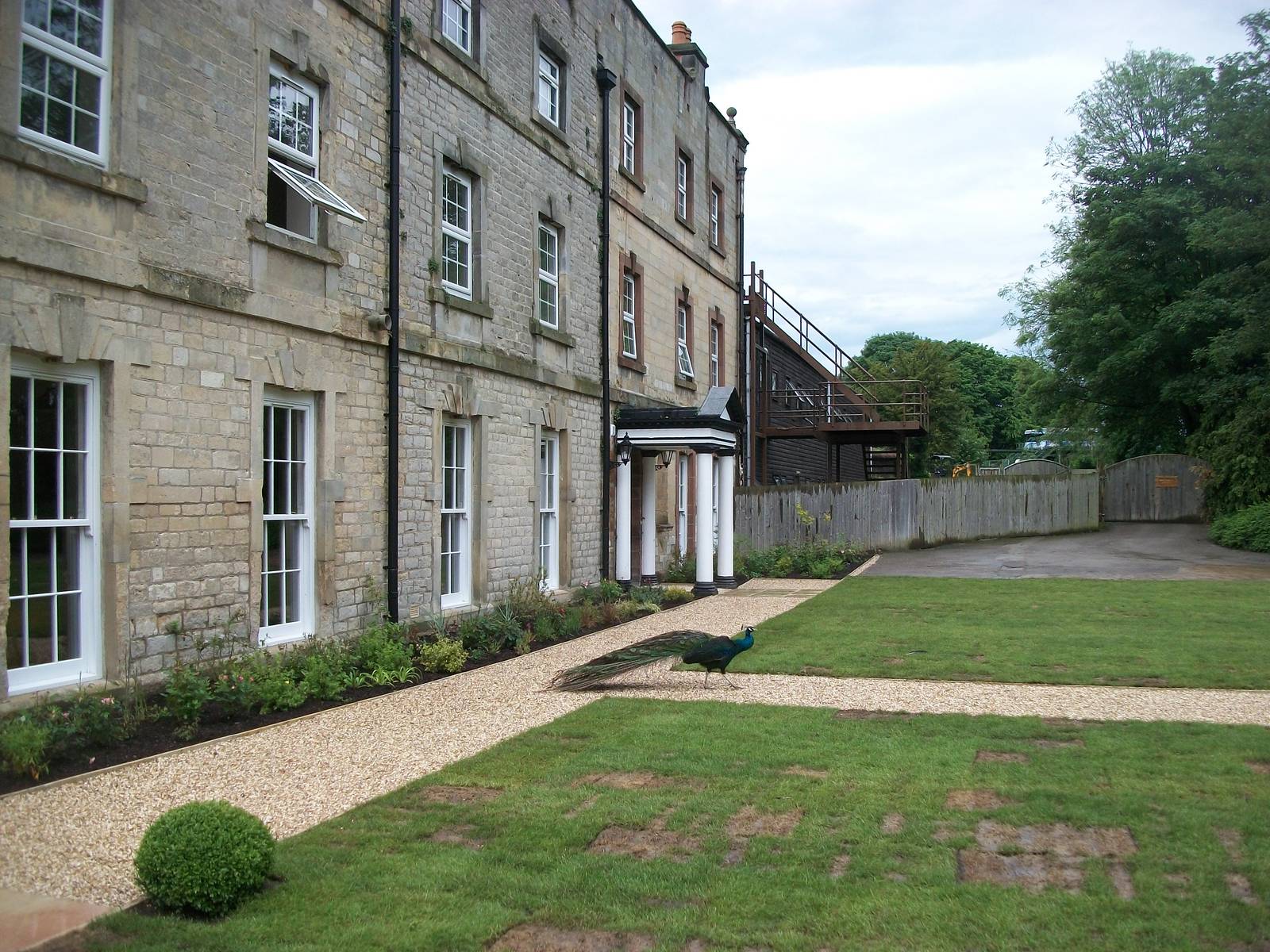 A lovely new look for the area around the Hall, 9th June 2014