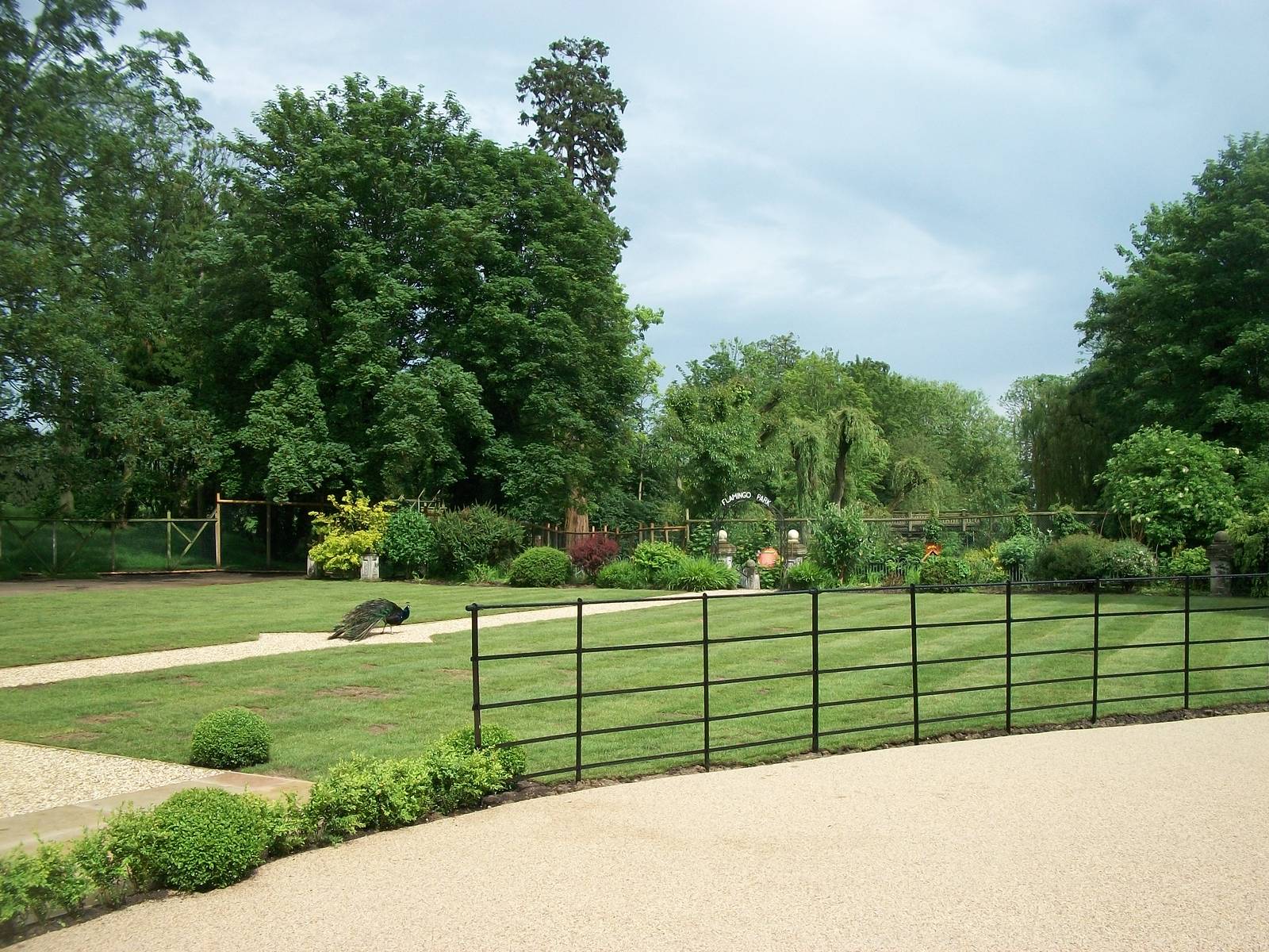 A lovely new look for the area around the Hall, 9th June 2014