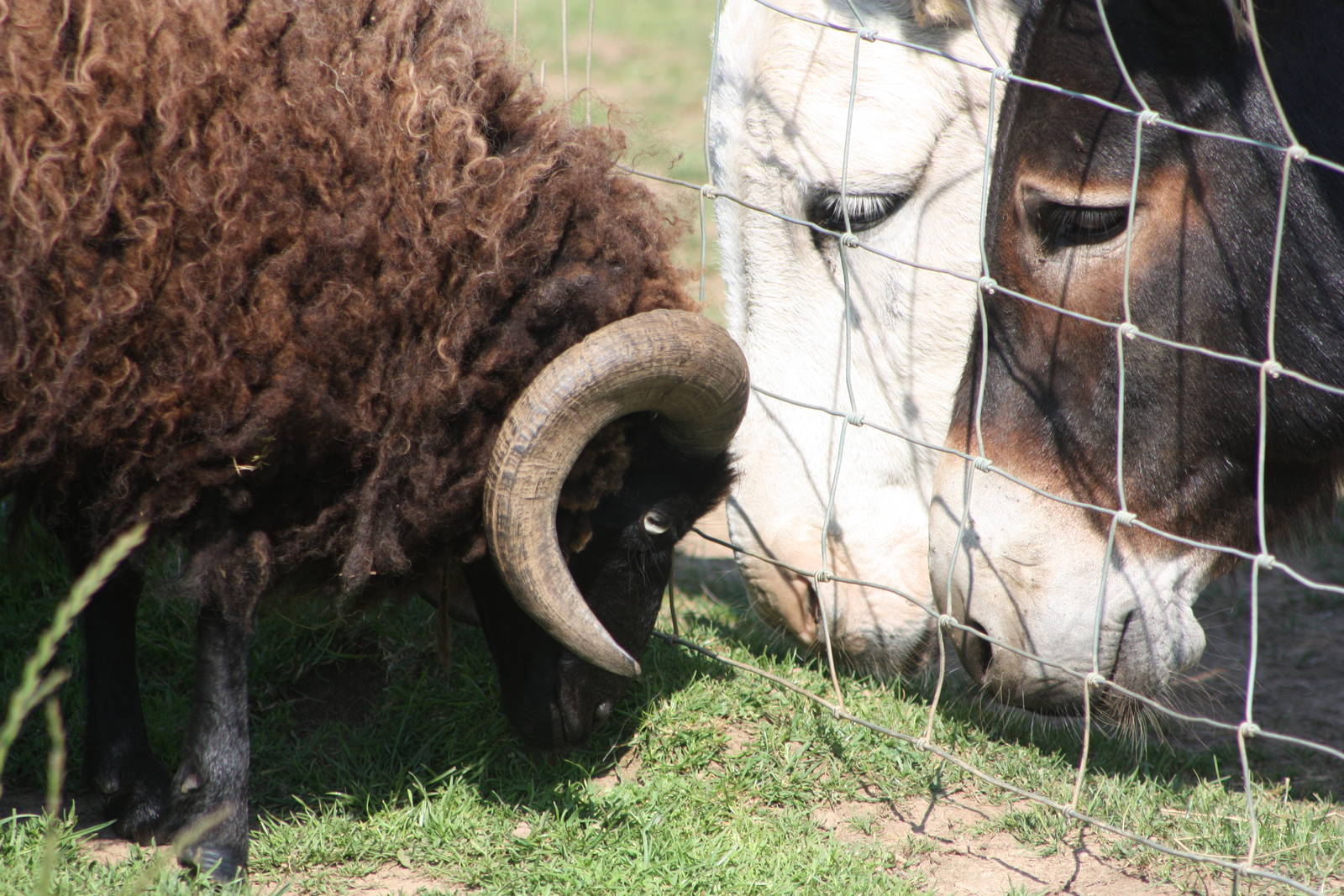 A meeting of minds? 24th July 2014