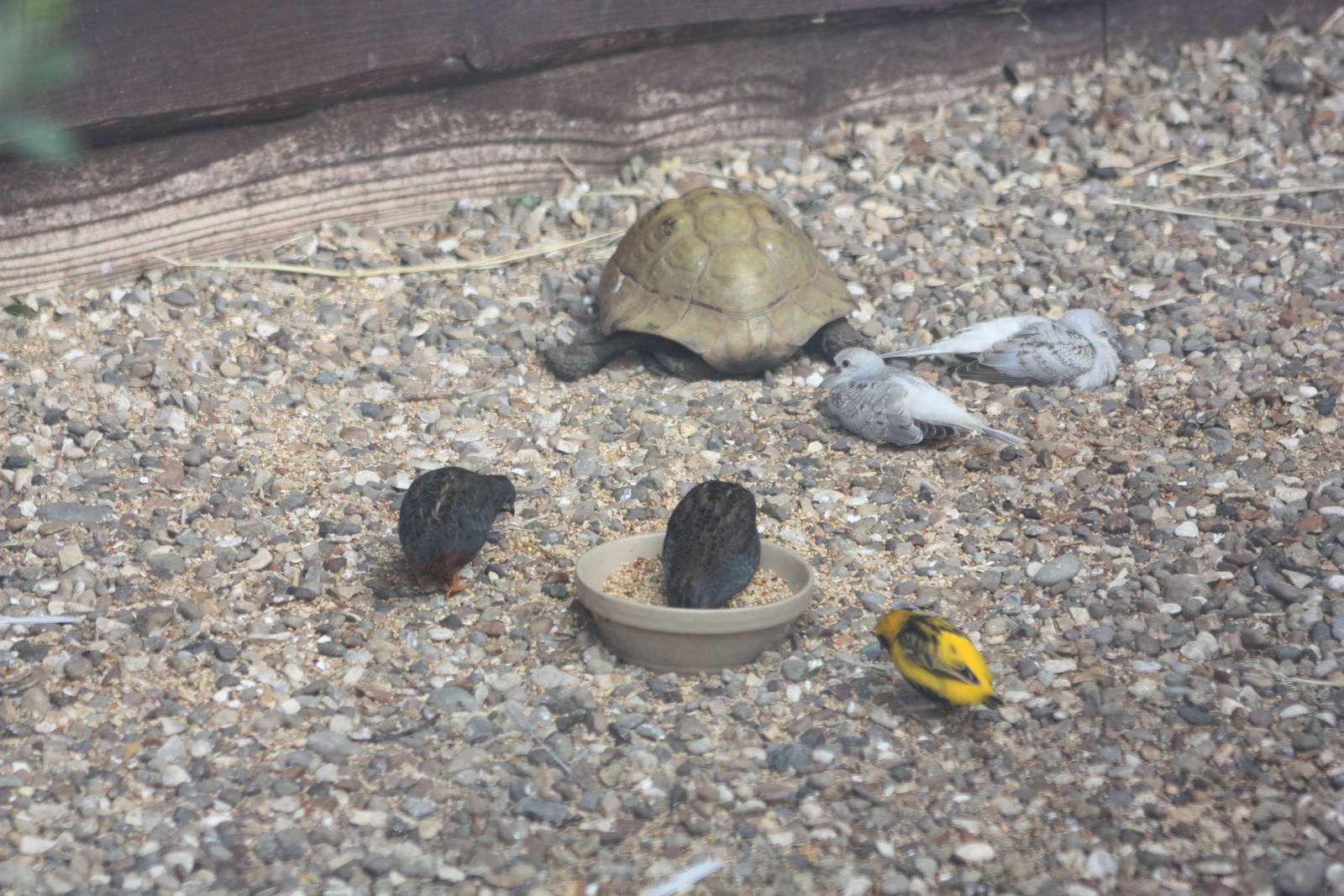 A mixed exhibit, 12th July 2014