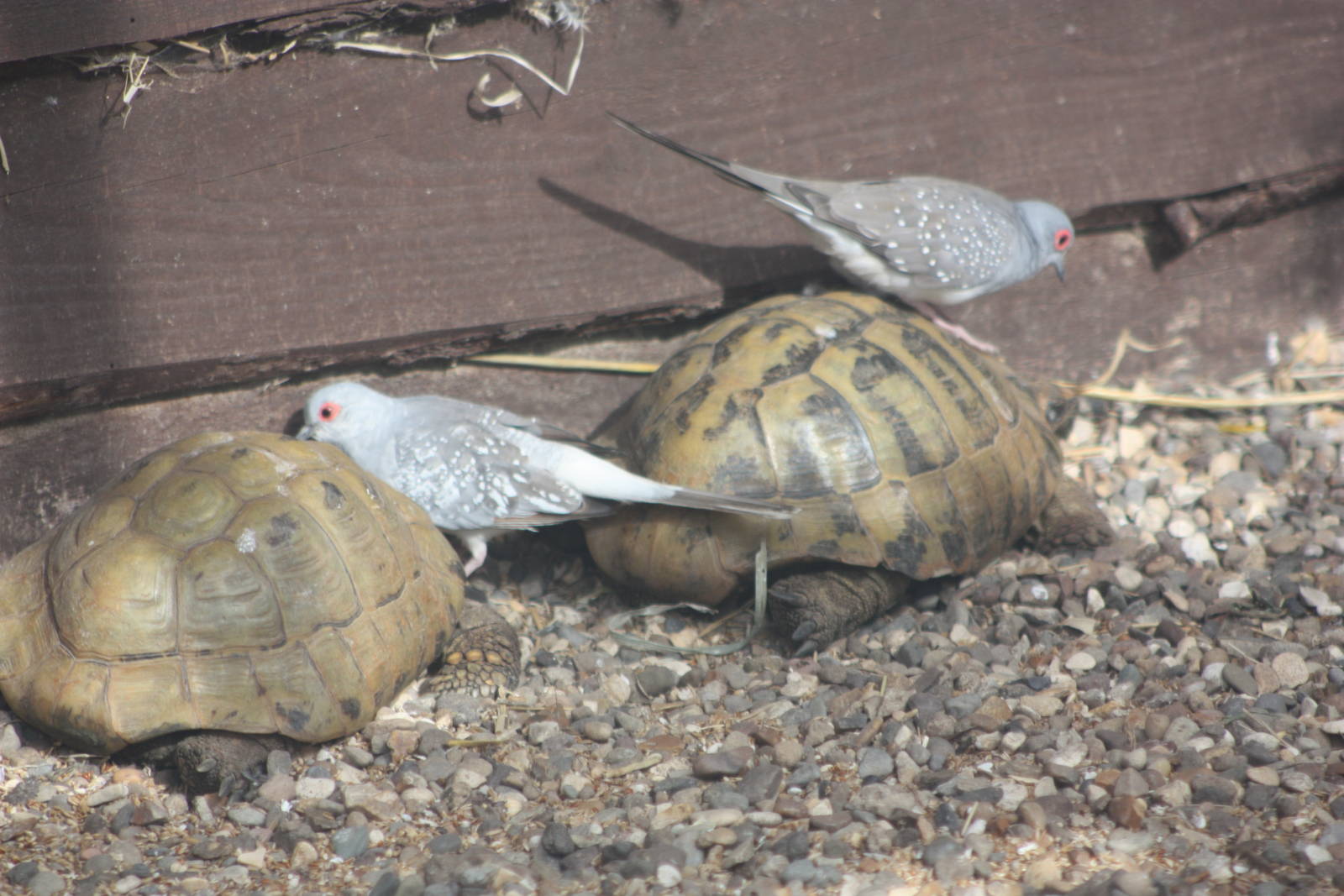 A mixed exhibit, 8th June 2014