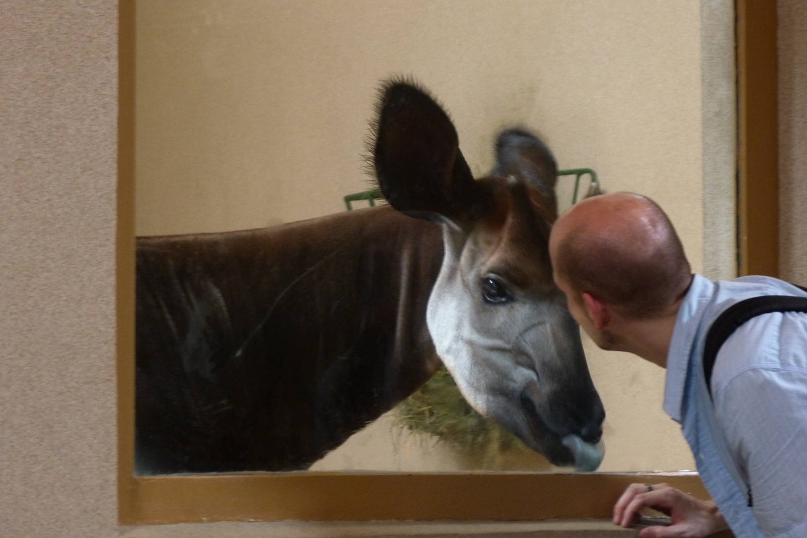 A Moment (African Journey) 6-20-12