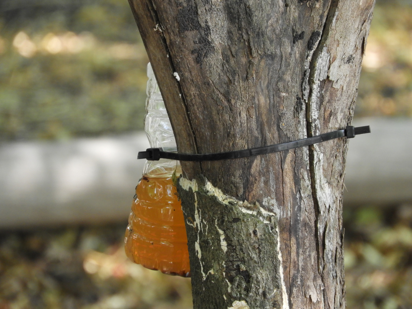 A Mysterious Orange Liquid