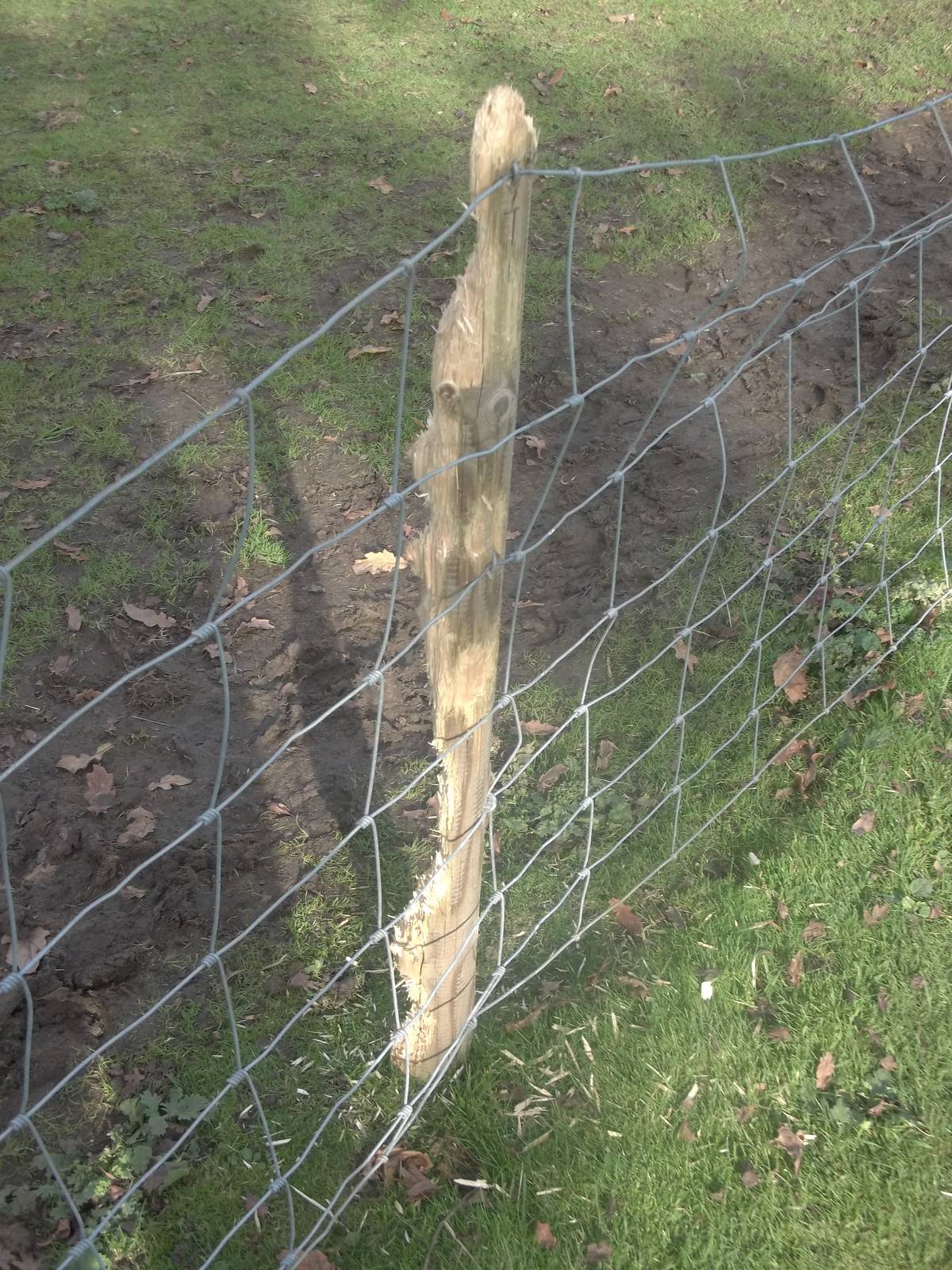 A new fence post required soon, 29th October 2014