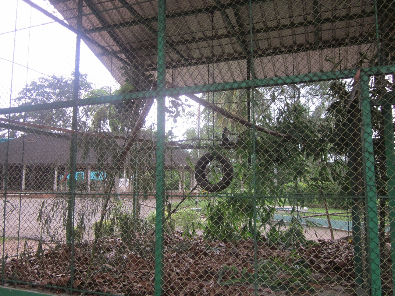 A new hope for abidjan zoo