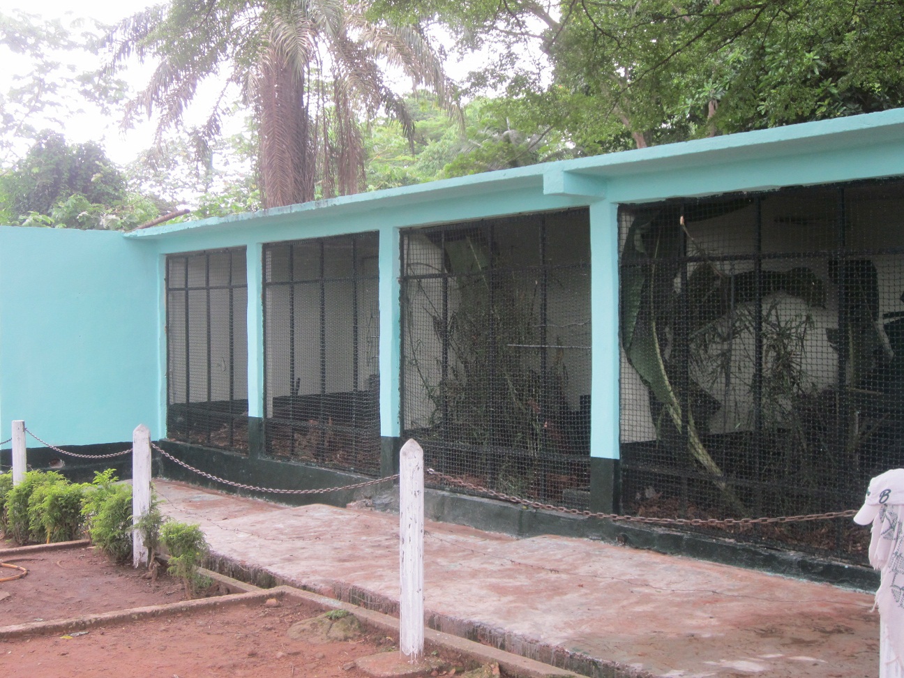 A new hope for abidjan zoo