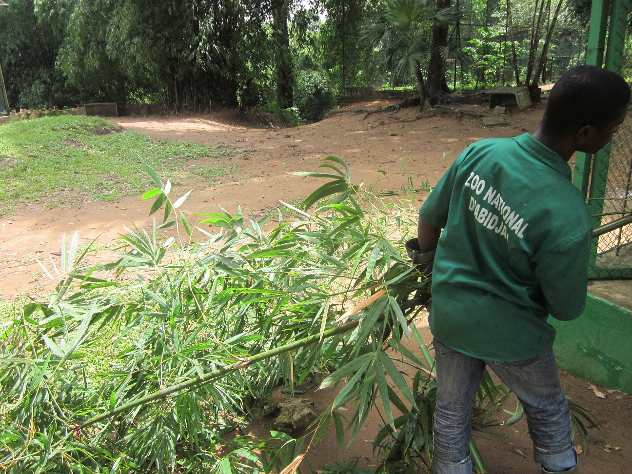 A new hope for abidjan zoo