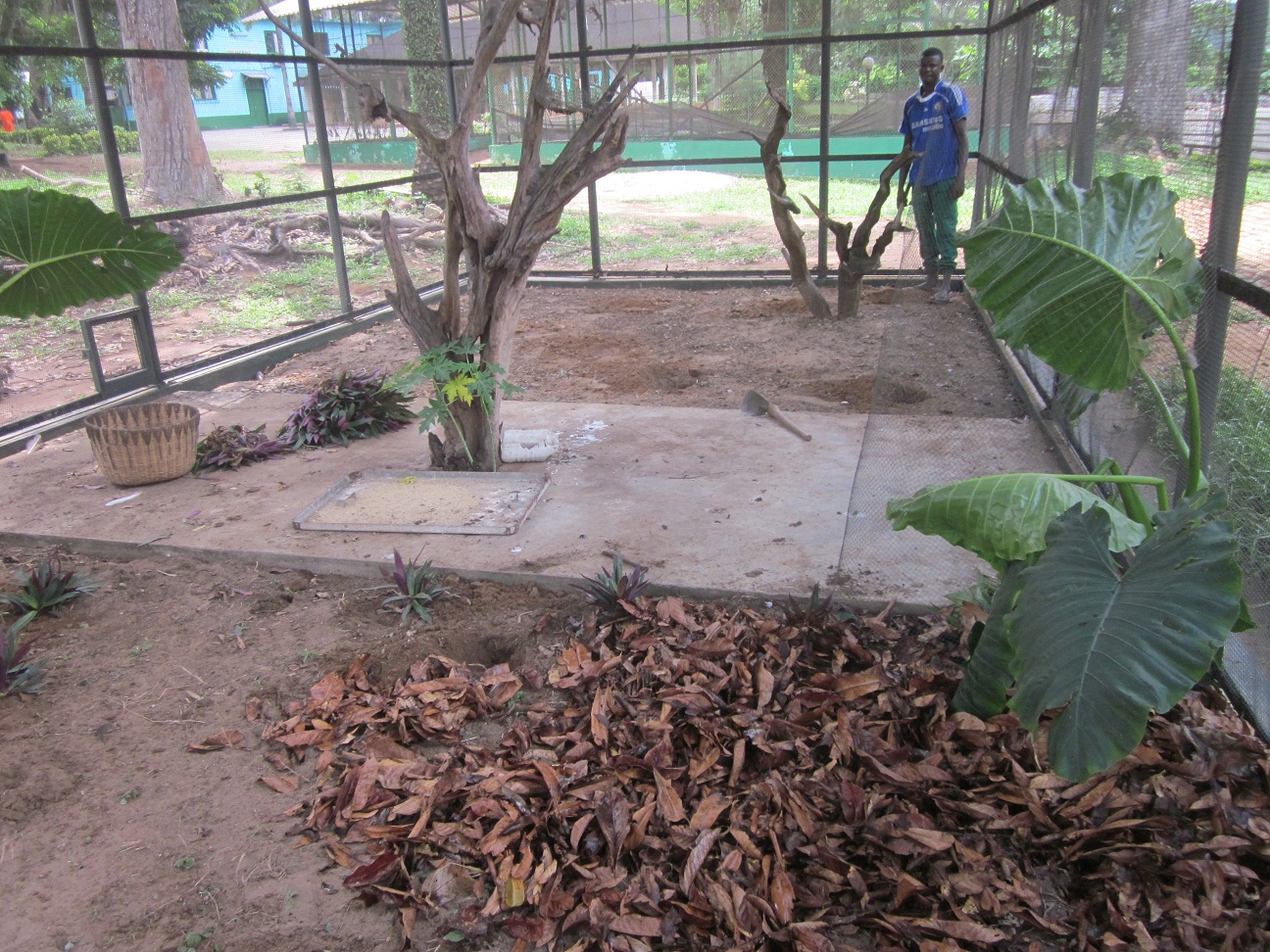 A new hope for abidjan zoo