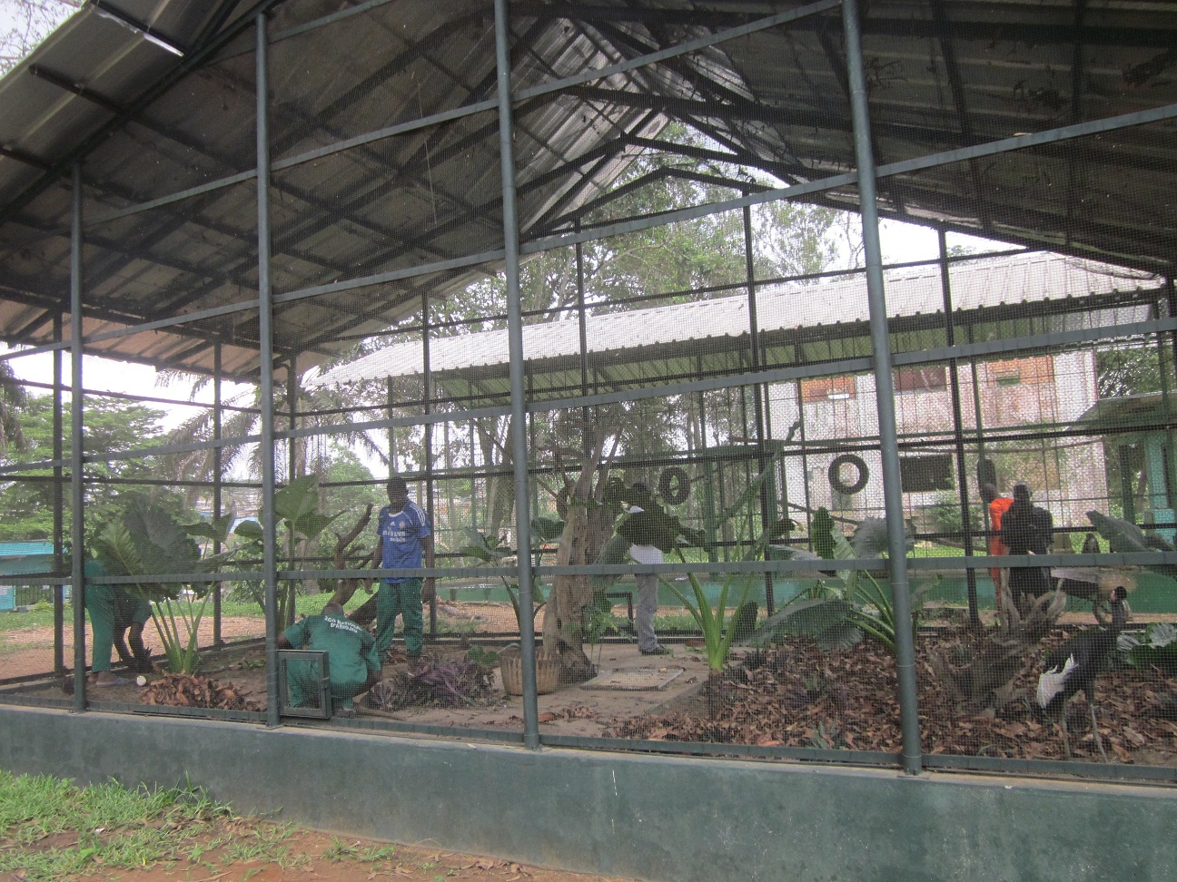 A new hope for abidjan zoo