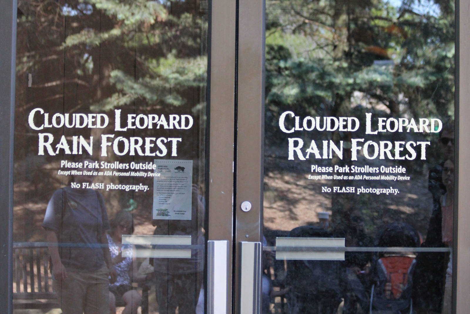 A new name for The Fragile Rain Forest