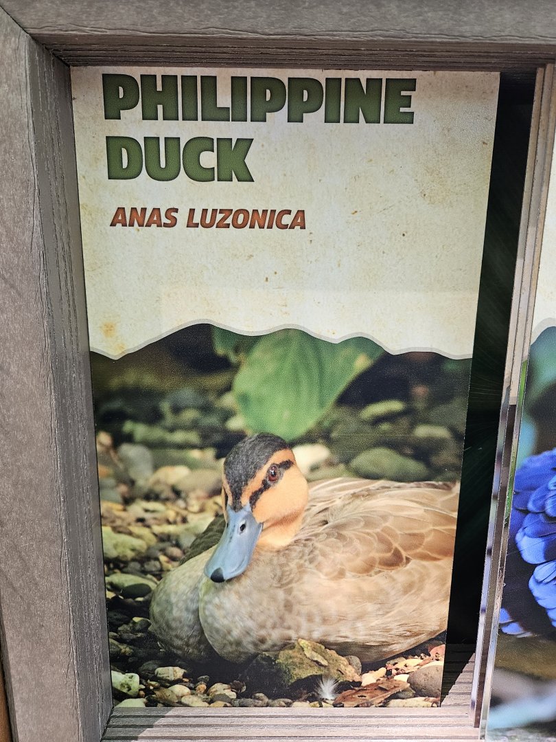 A new sign for another new bird