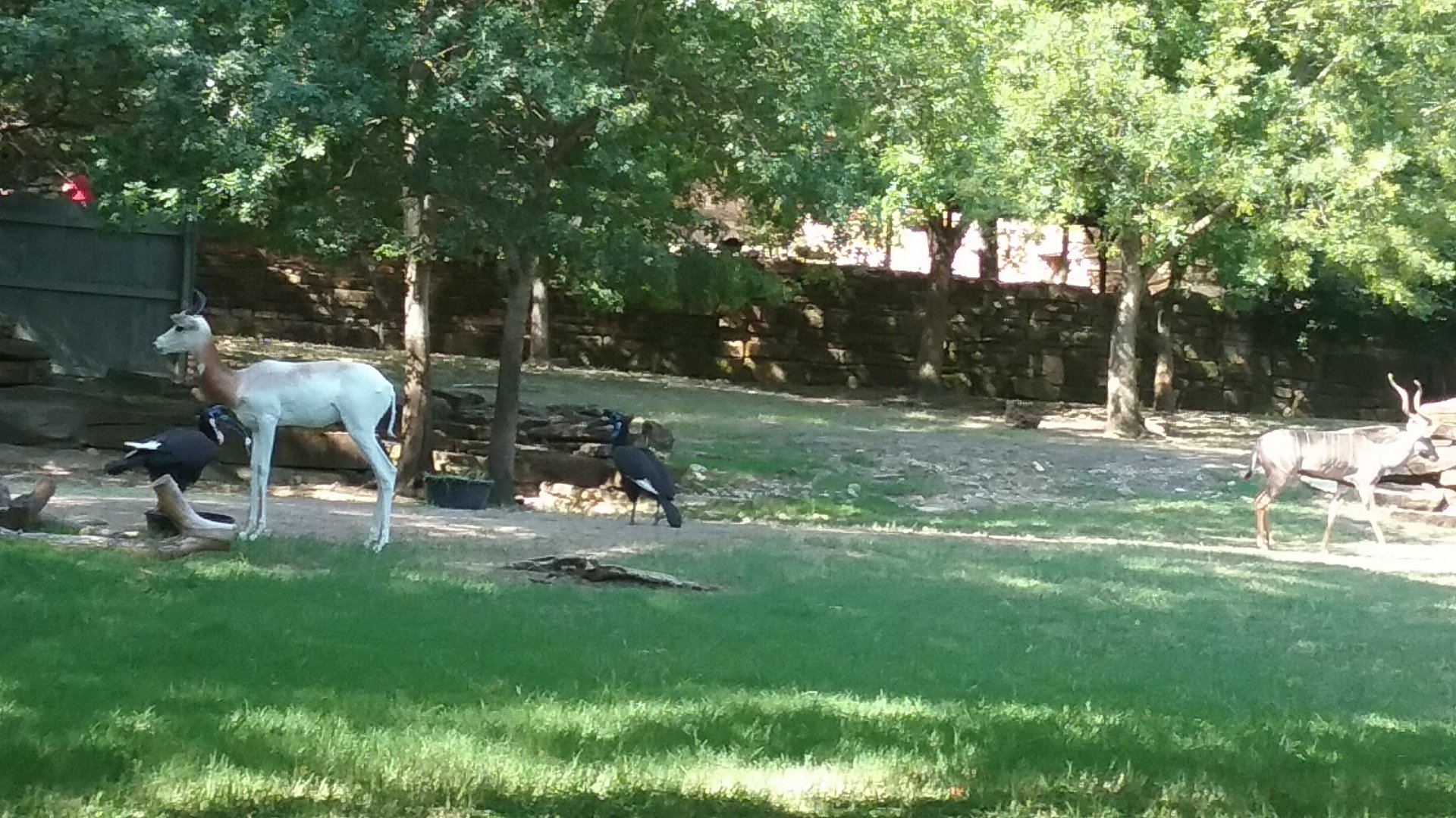 A nice mixed exhibit