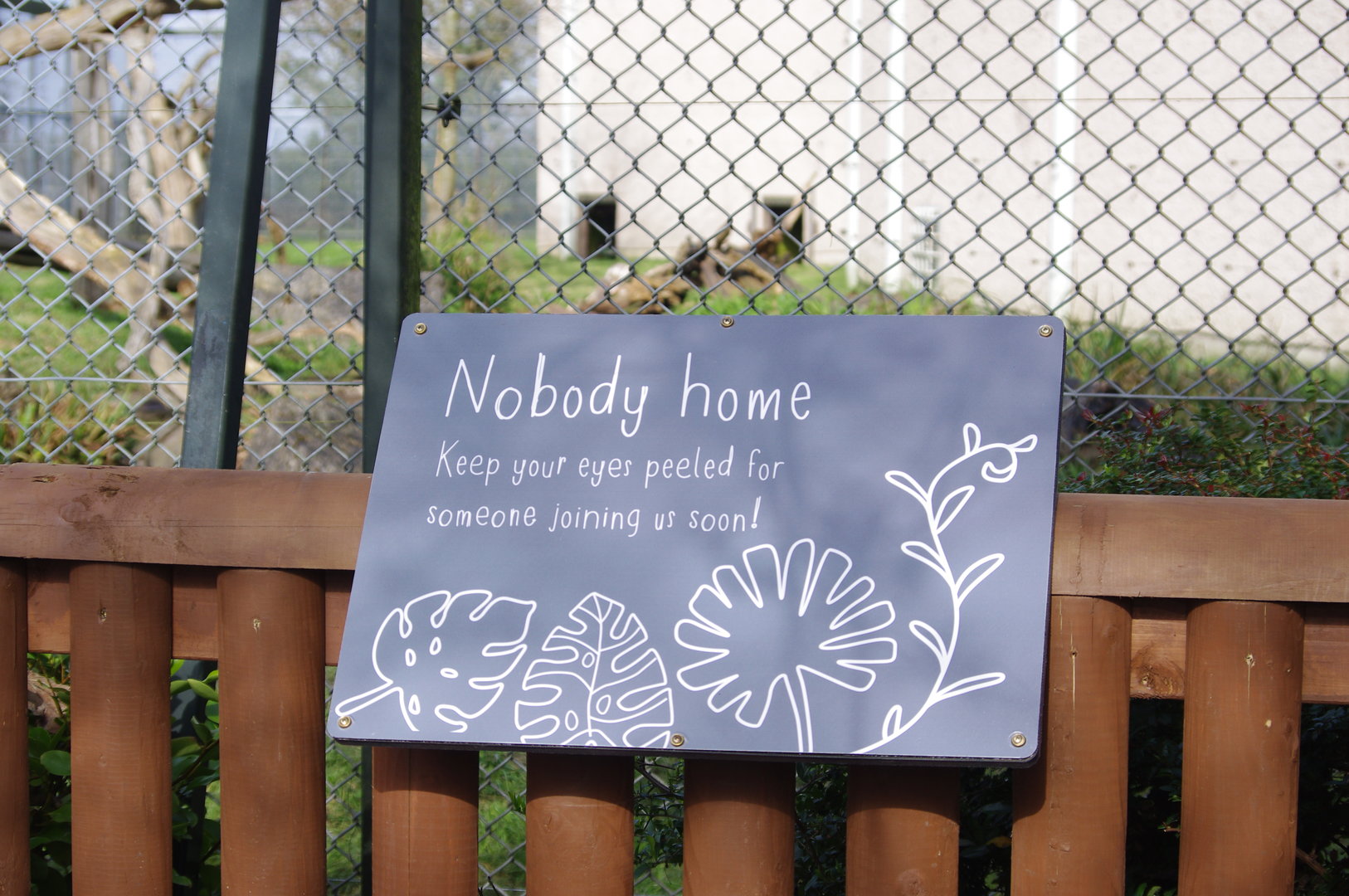 A notice on the North outdoor enclosure at Spirit of the Jaguar- Chester Zoo 4/4/2023