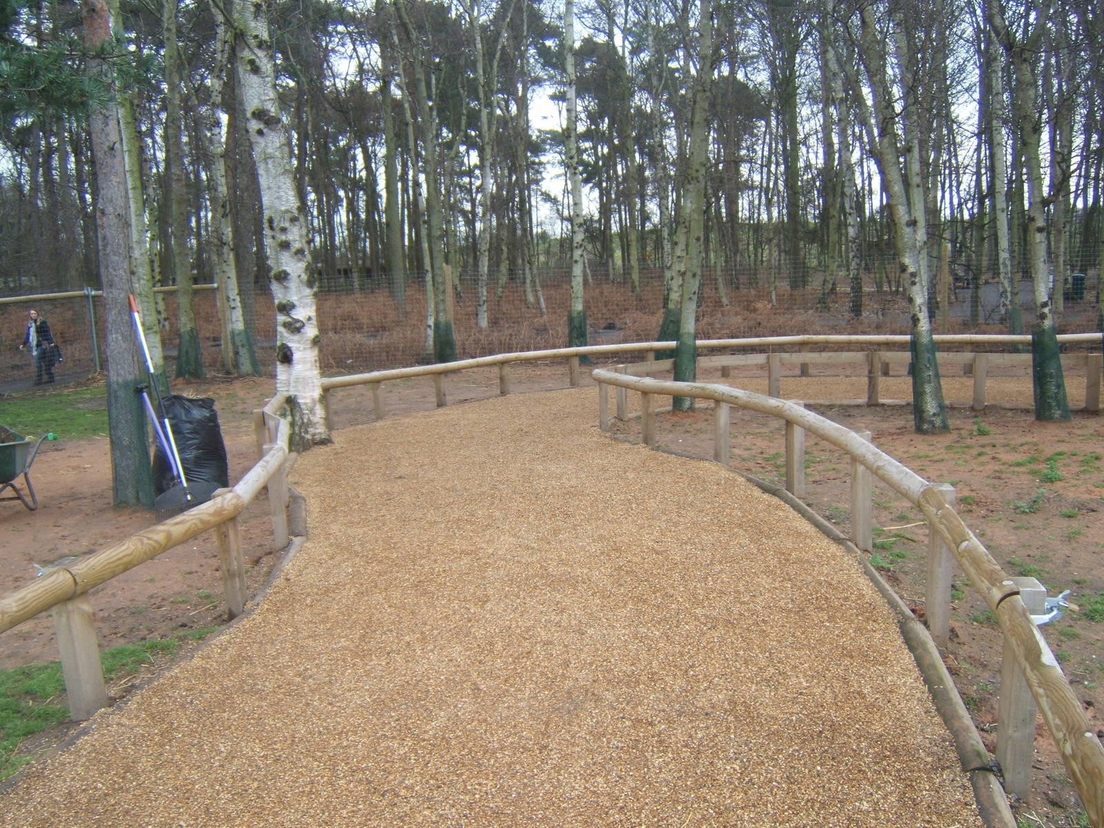 A now fenced off path round the Wallaby walk through!!