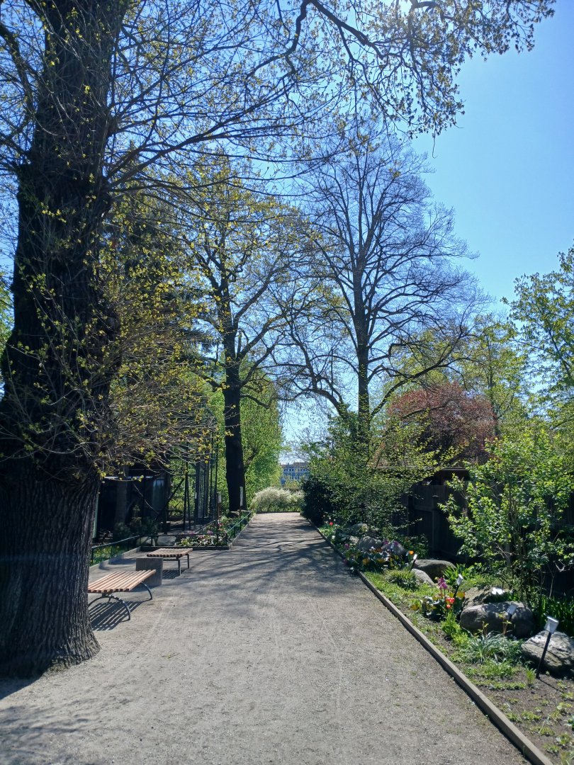 A pathway in the zoo