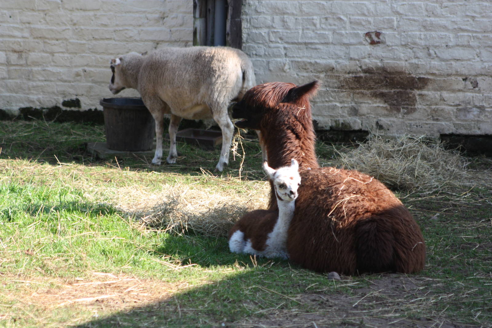 A peaceful scene, 10th September 2014