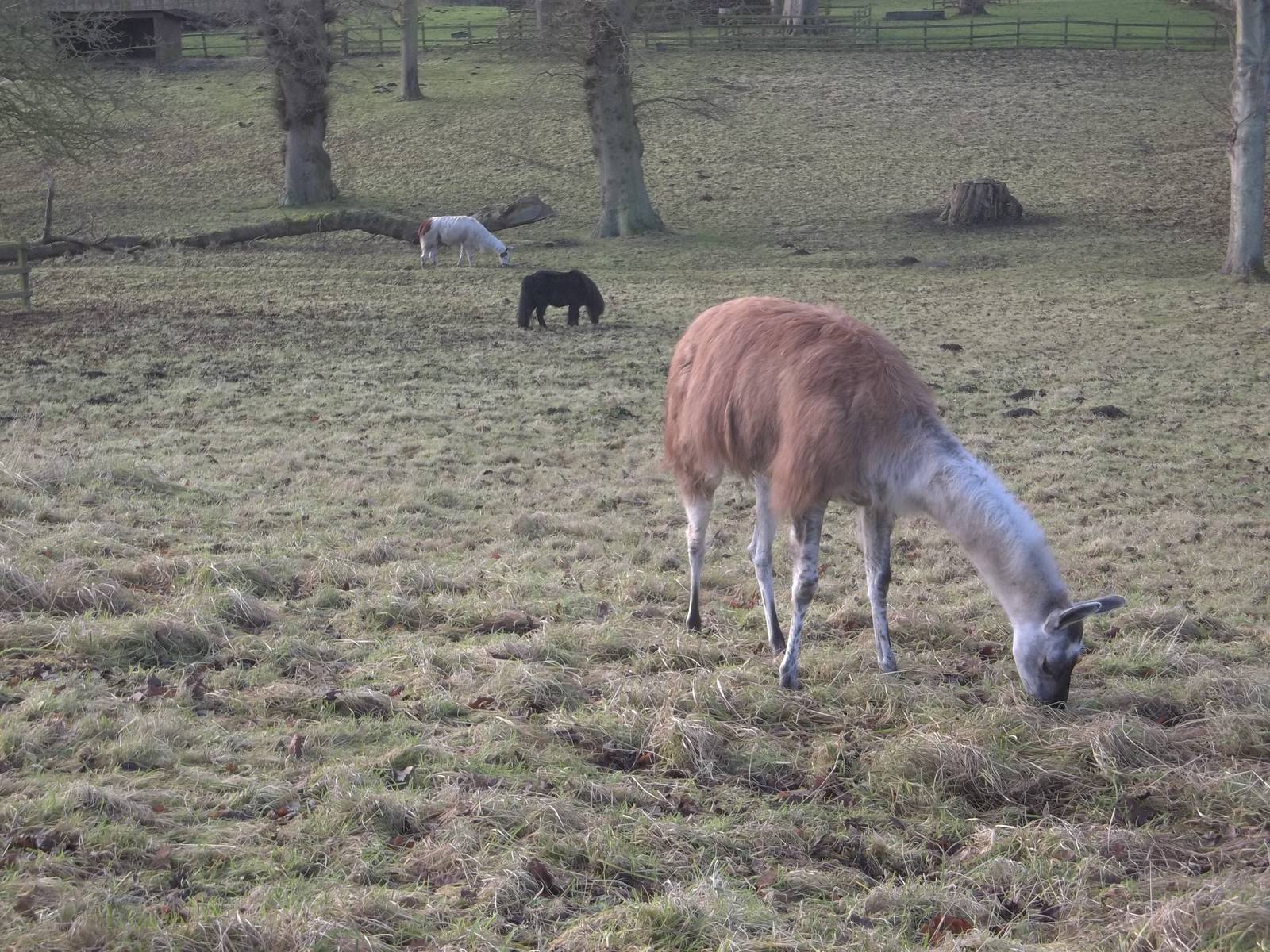 A peaceful scene on Christmas morning, 25th December 2014