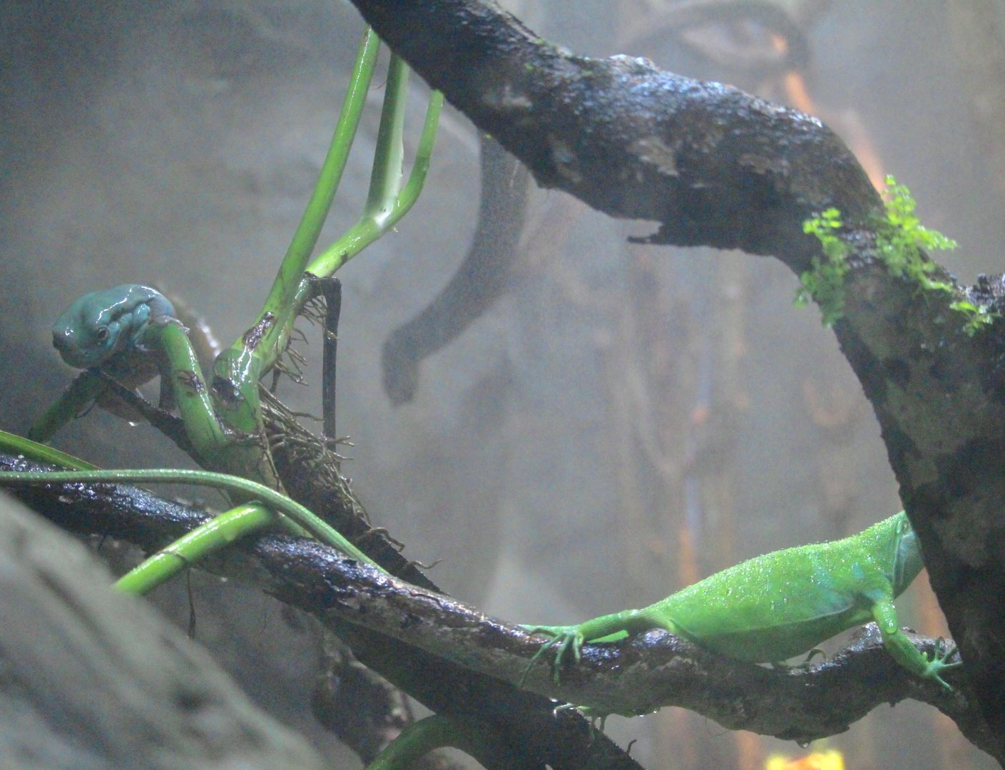 A Peculiar Combination …