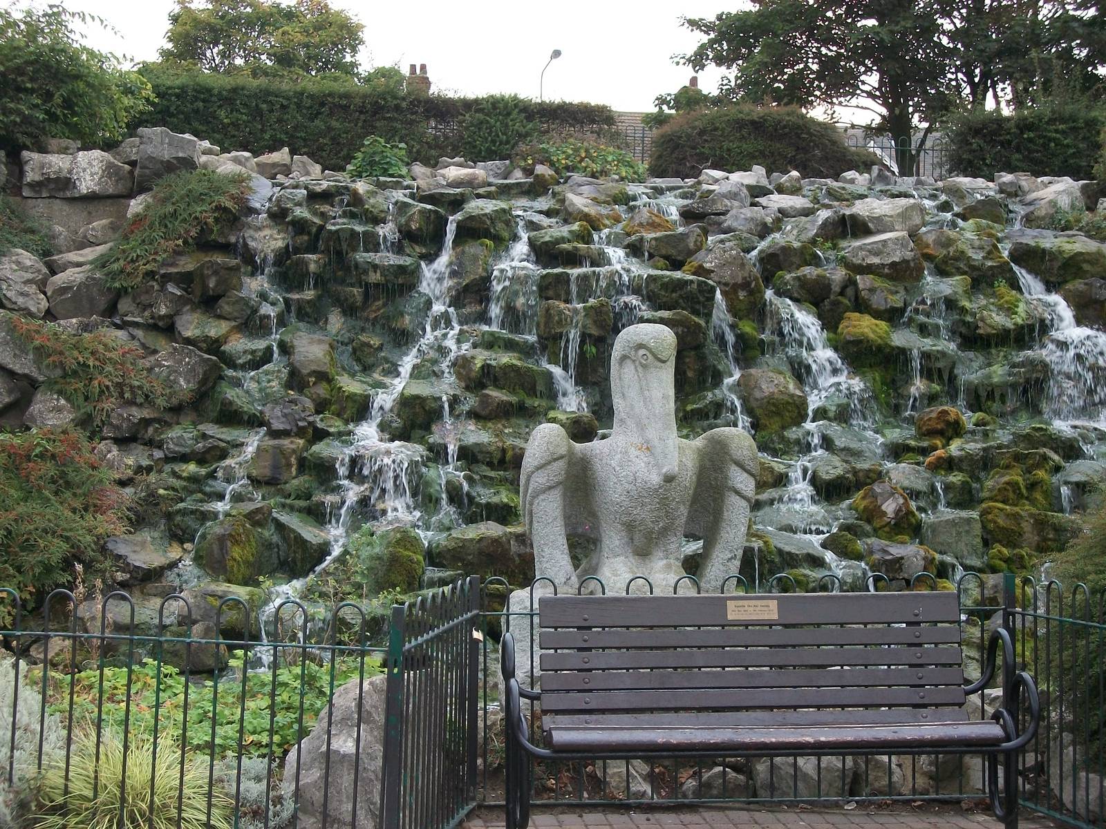 A Pelican not in the zoo, 23rd September 2014