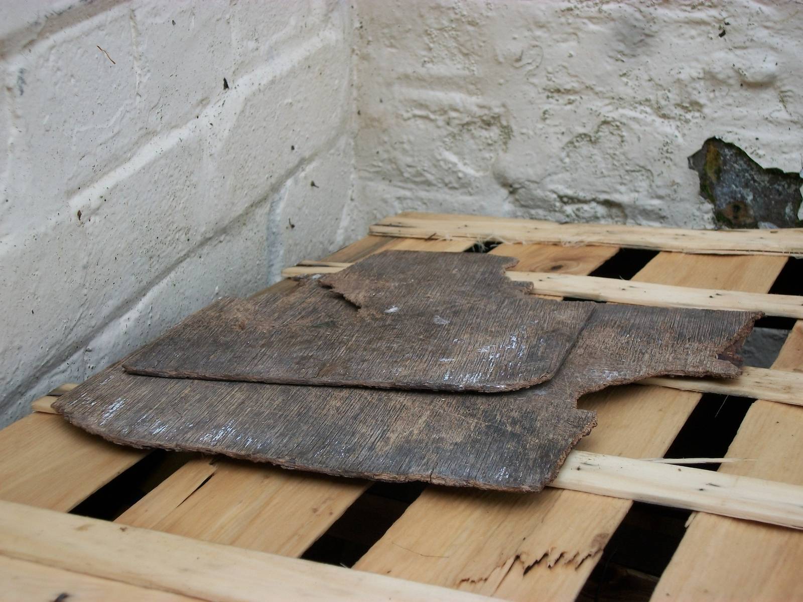 A piece of zoo history has broken, 6th July 2014