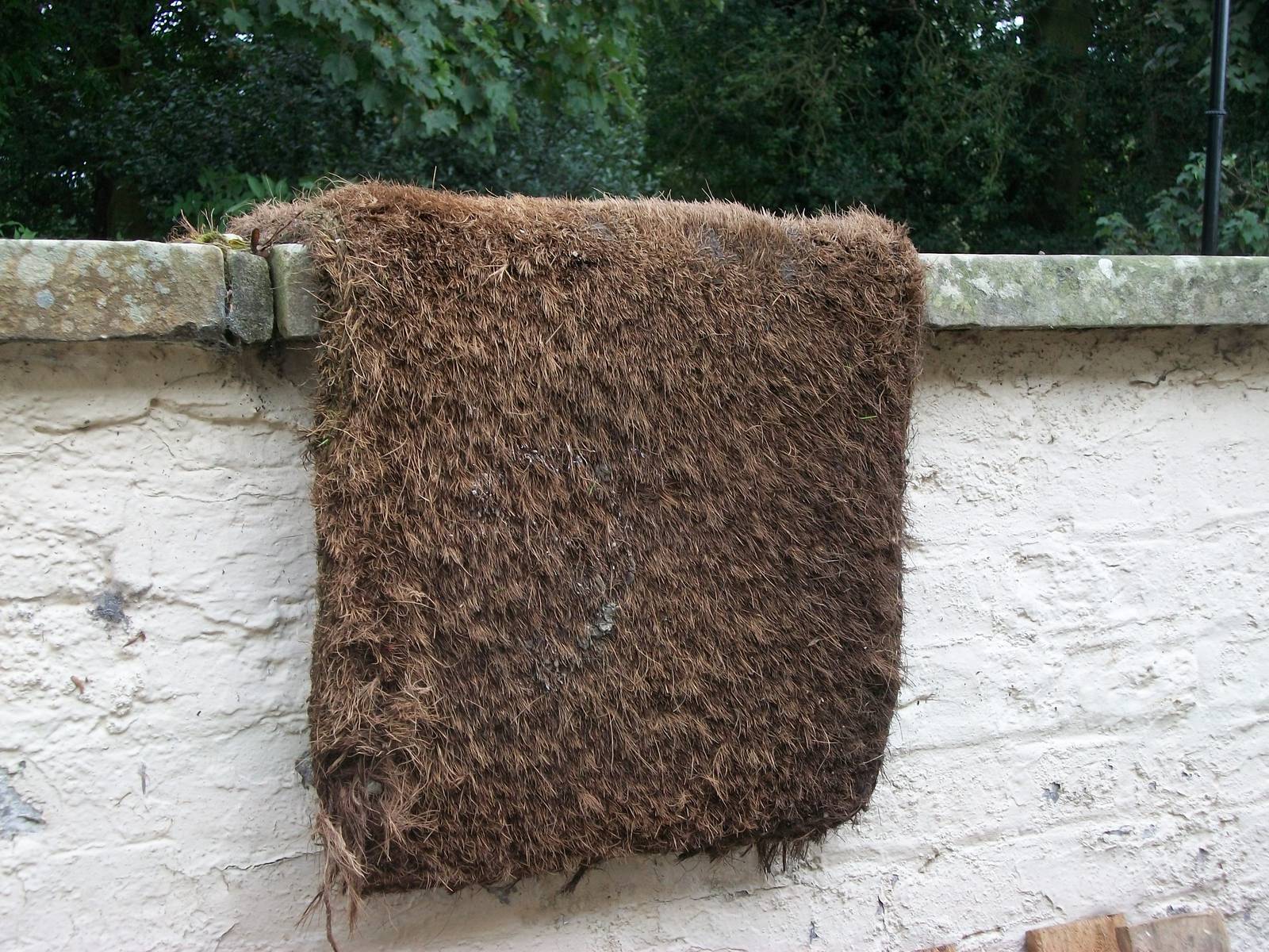 A piece of zoo history not being discarded, 21st September 2014