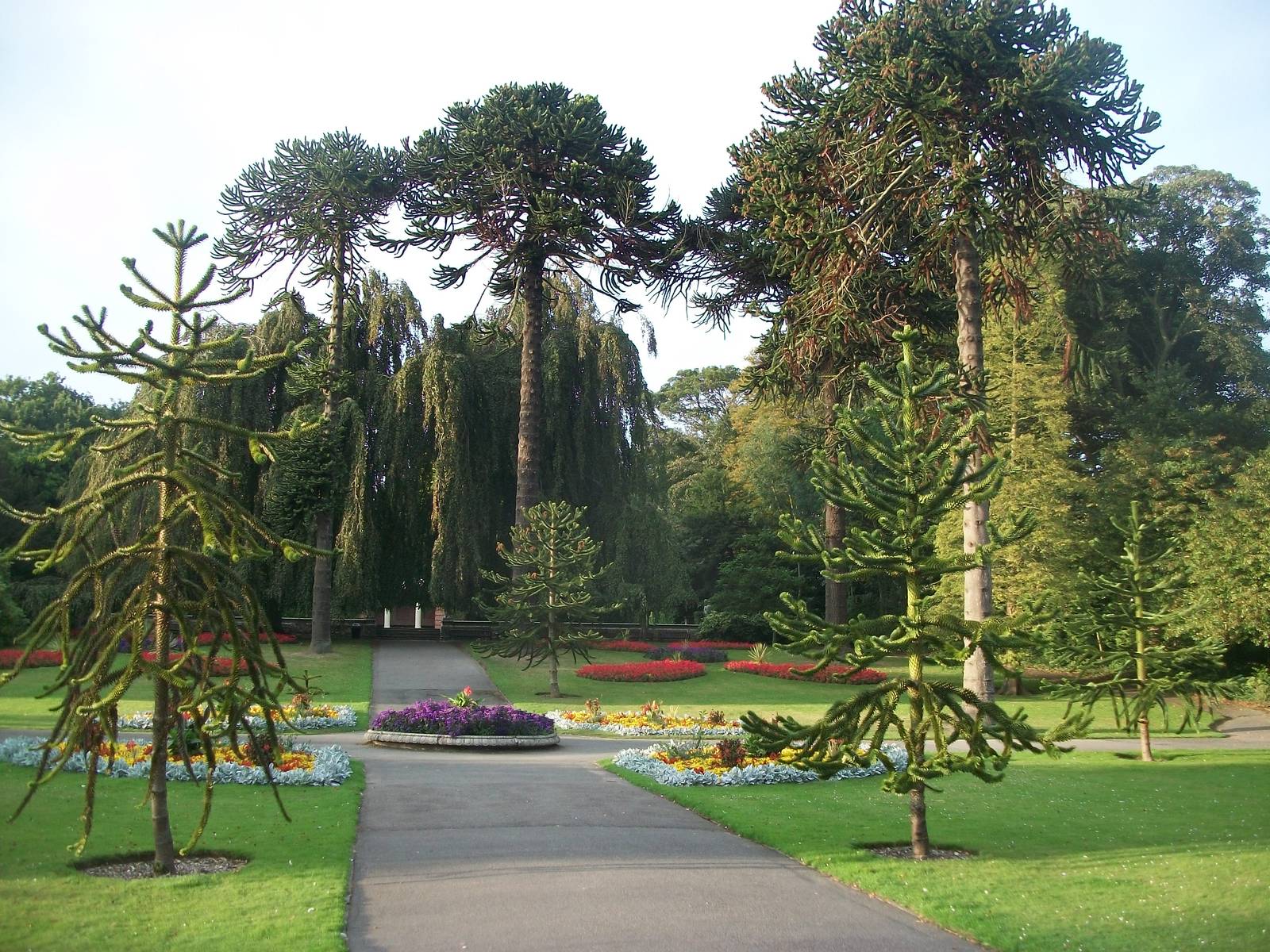 A pleasant evening in the gardens, 13th September 2014