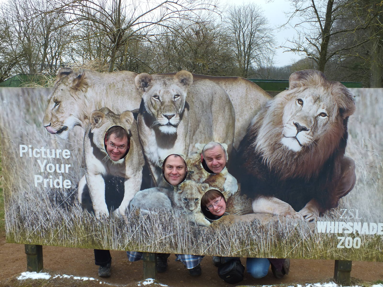 A pride of Zoochatters (Homo zoonerdiensis) at Whipsnade Zoo - 23rd Februar