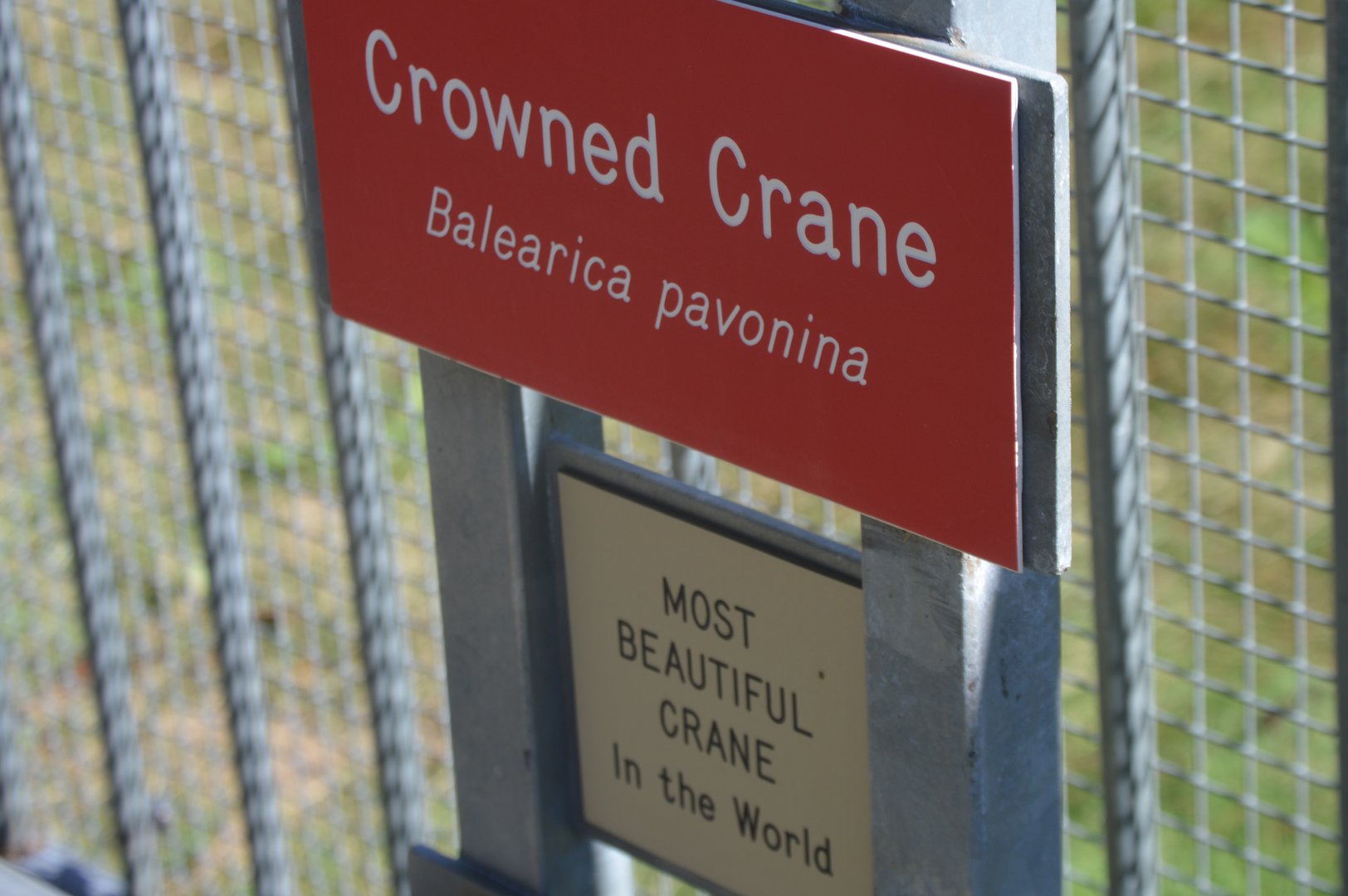 A rather opinionated sign