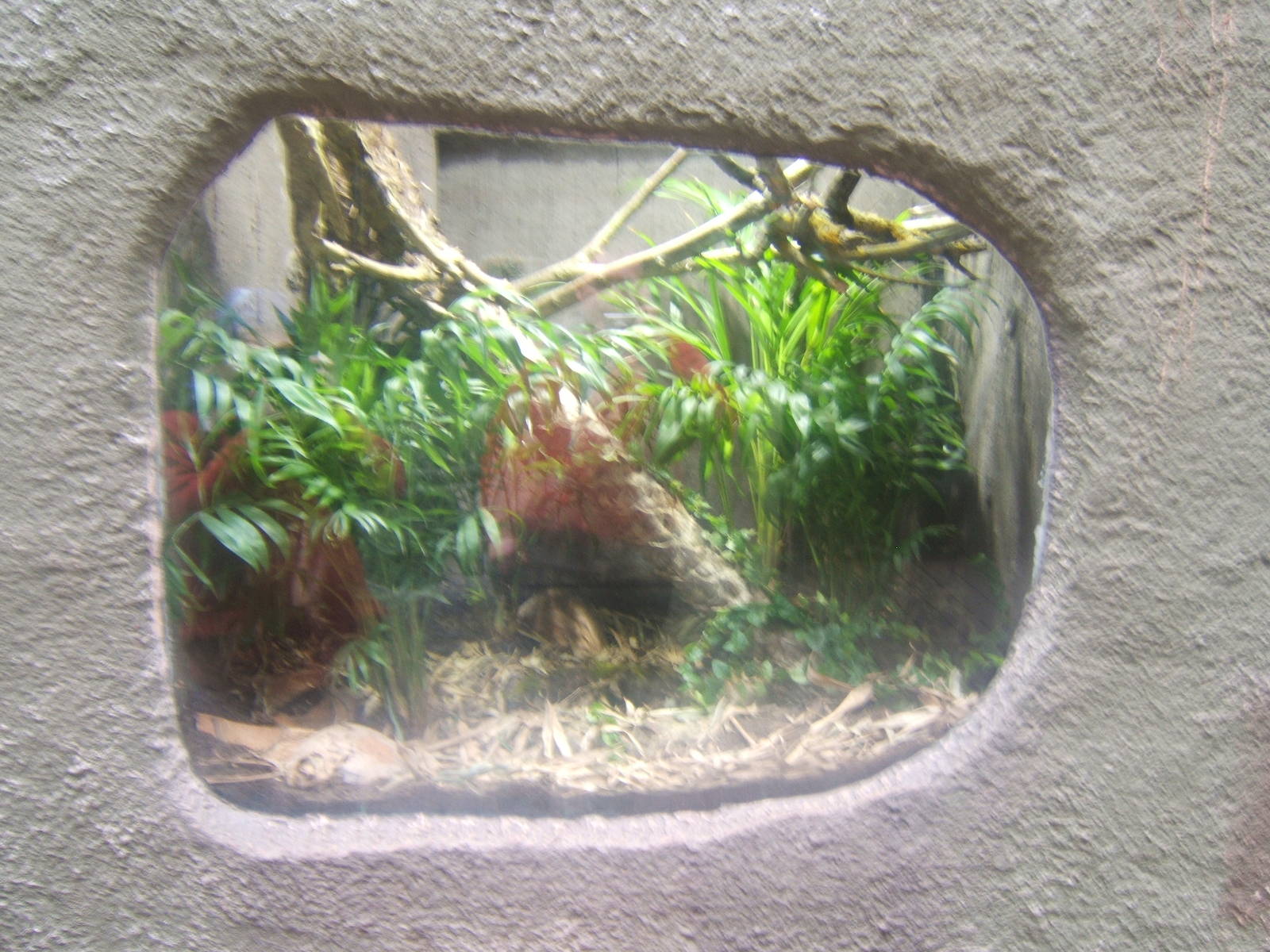 A re-furbed viv in RORA