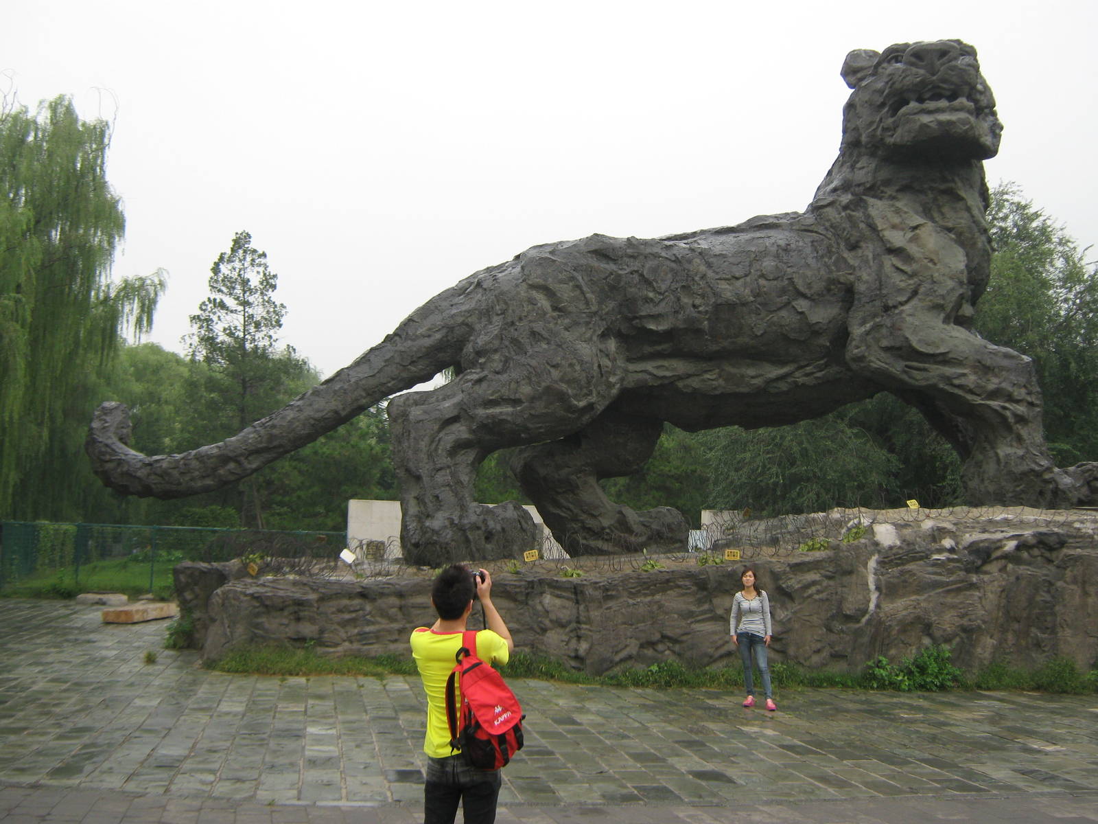 a really big tiger!