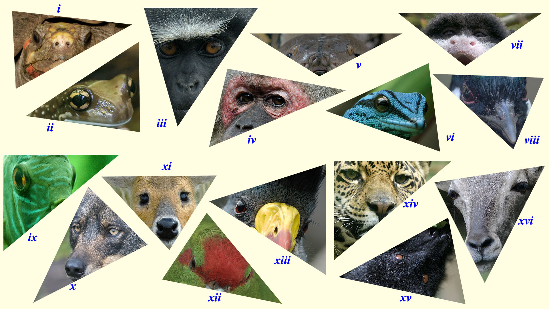 A riddle wrapped in a mystery inside an enigma . . . a new Photo Quiz