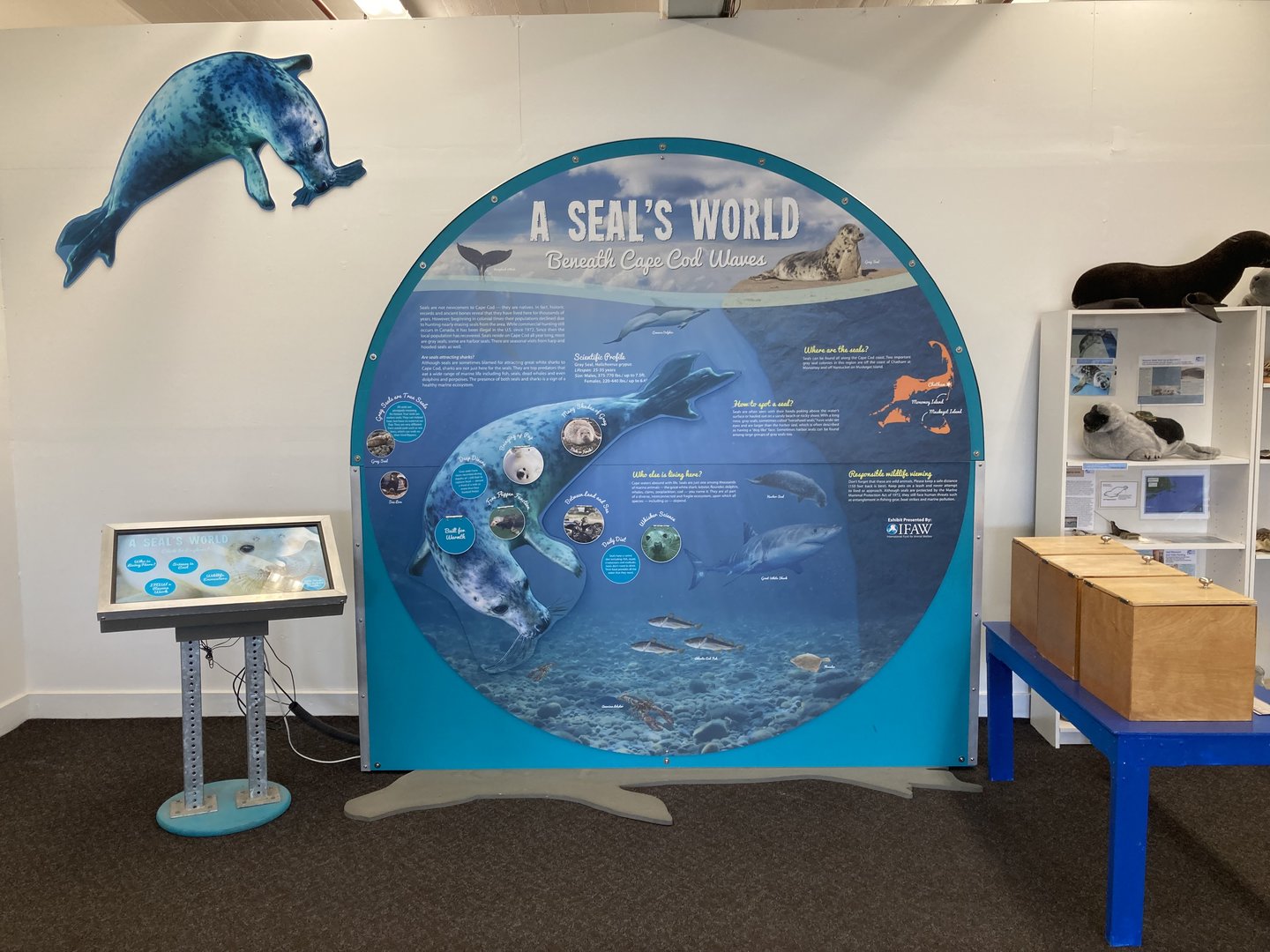 A seal’s world sign