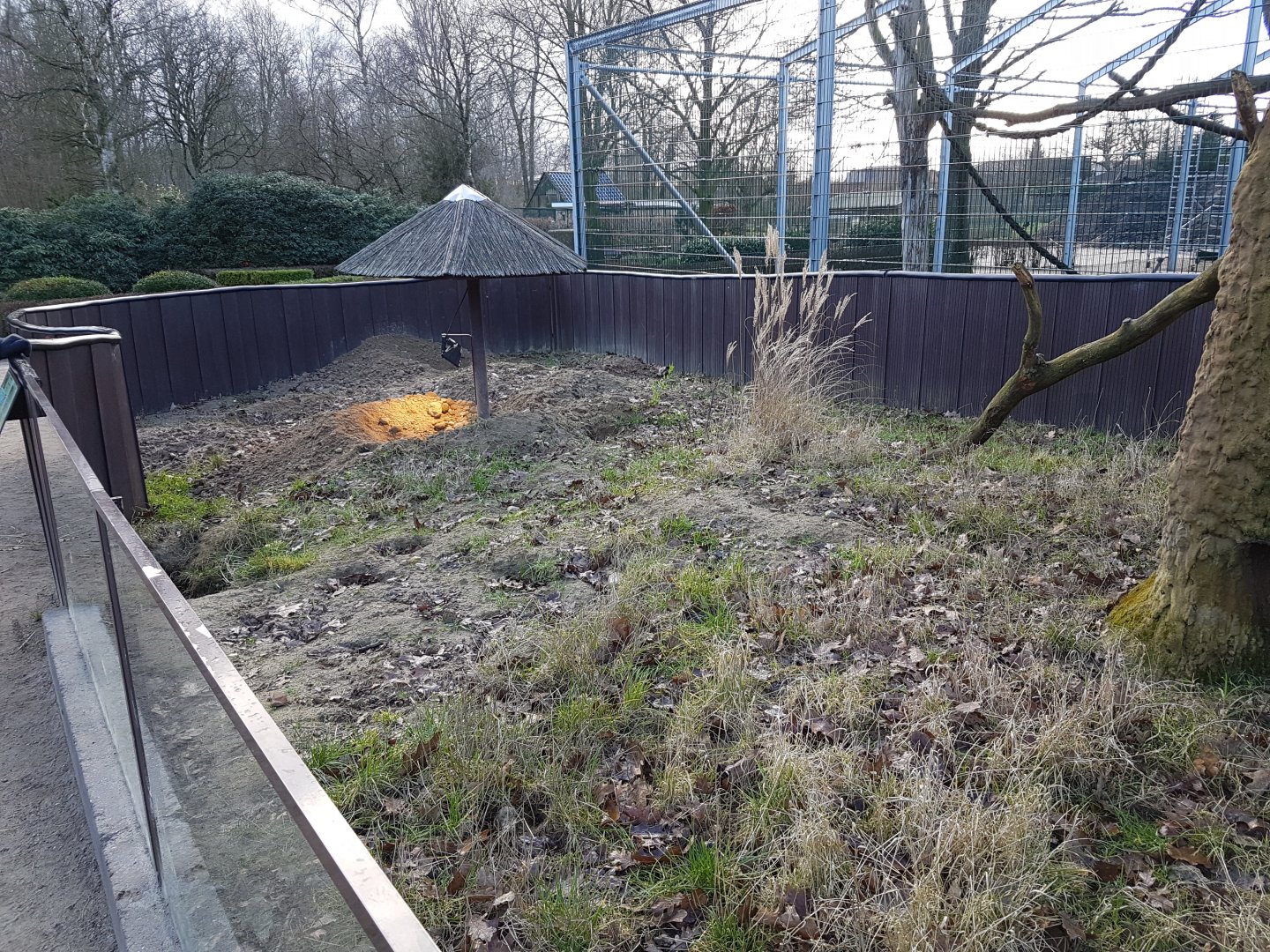 A second Meerkat-outdoor-enclosure