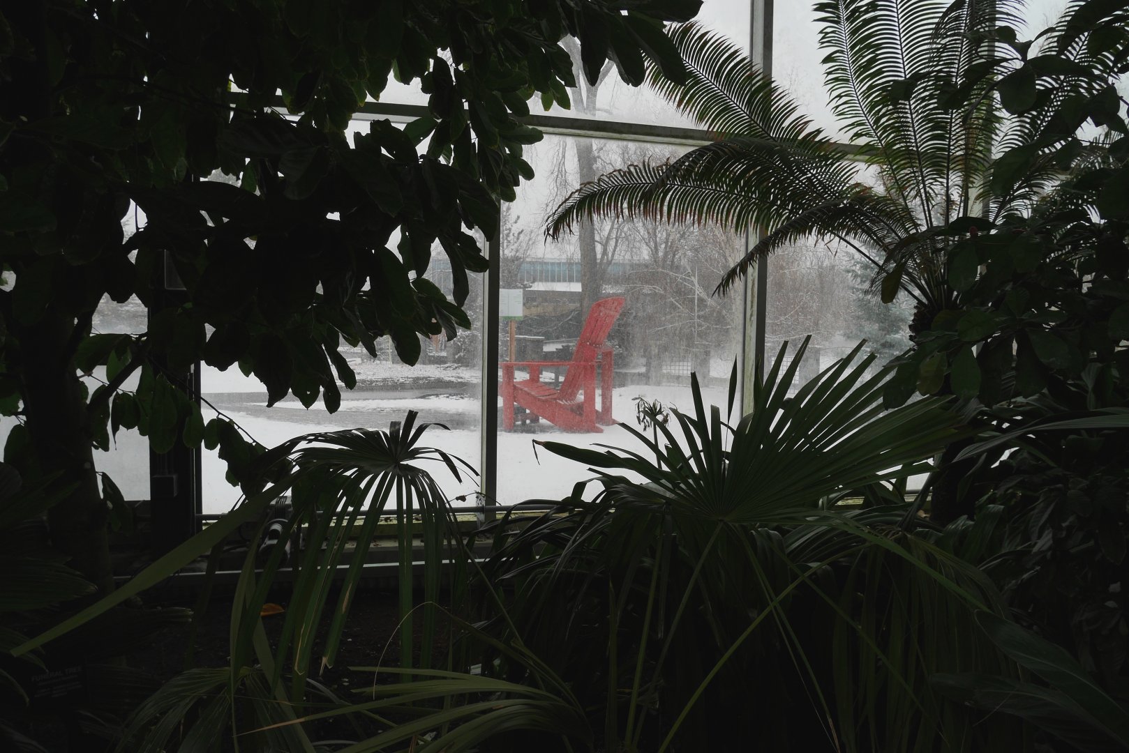 A Sheltered View - My First US Zoo Trip