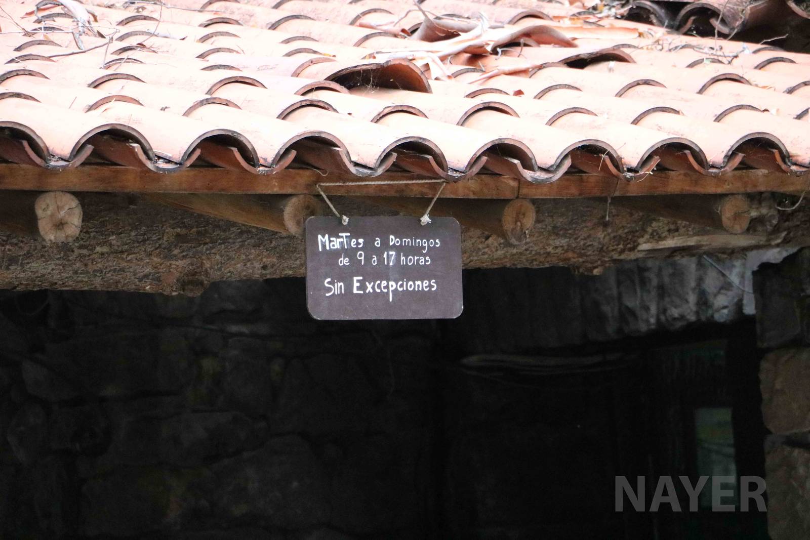 A sign for me? - Mendoza Zoo, April 2016