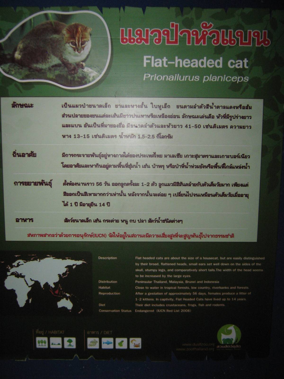 a sign without a species