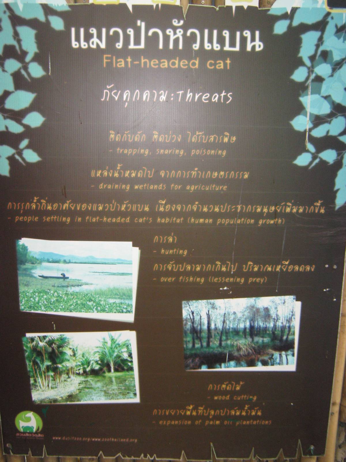 a sign without a species