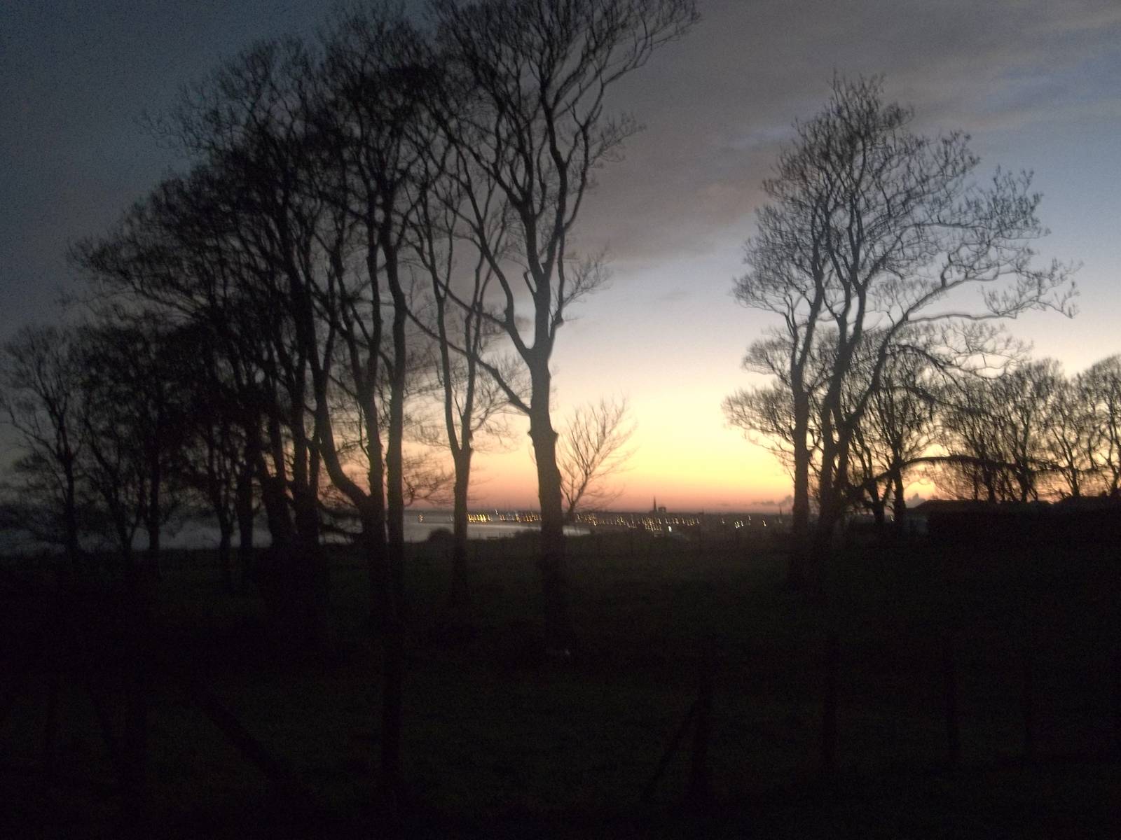 A slightly different view over the clifftop paddocks, 23rd November 2014